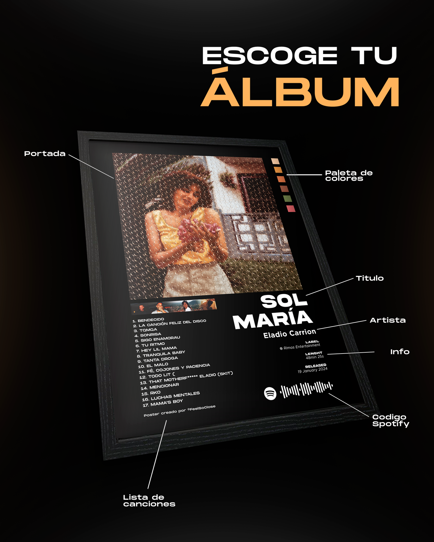Cuadro de Álbum Personalizado