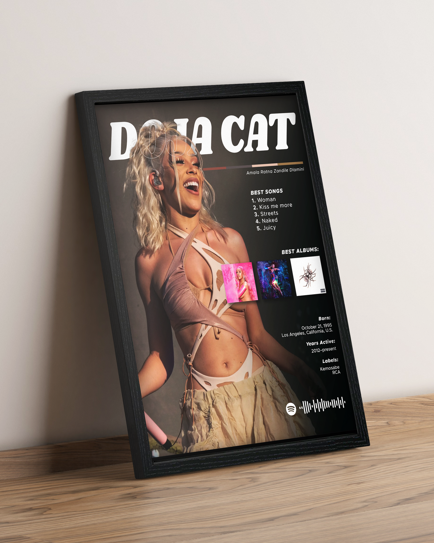 Doja Cat - Cuadro Artista