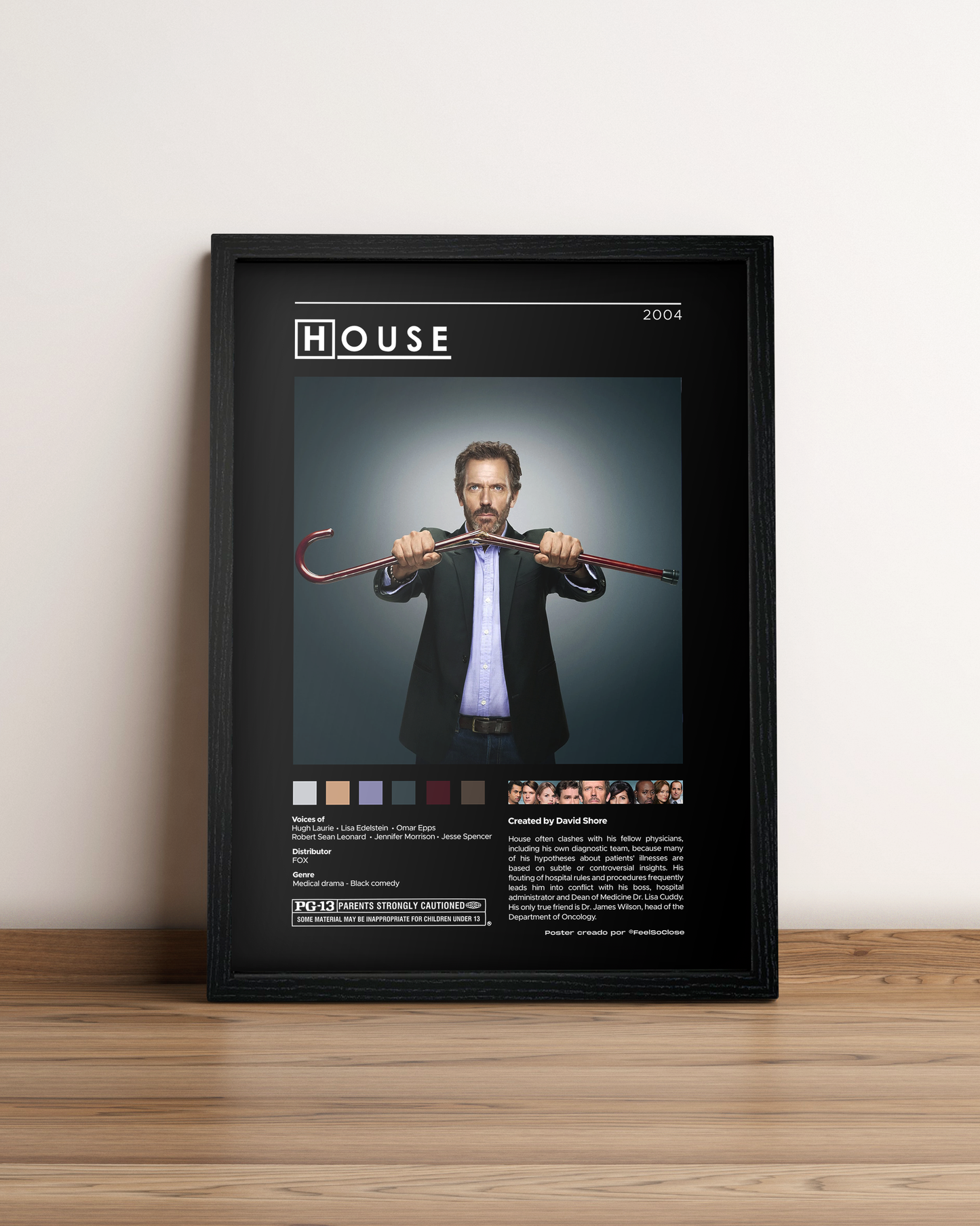 Dr House - Cuadro Serie