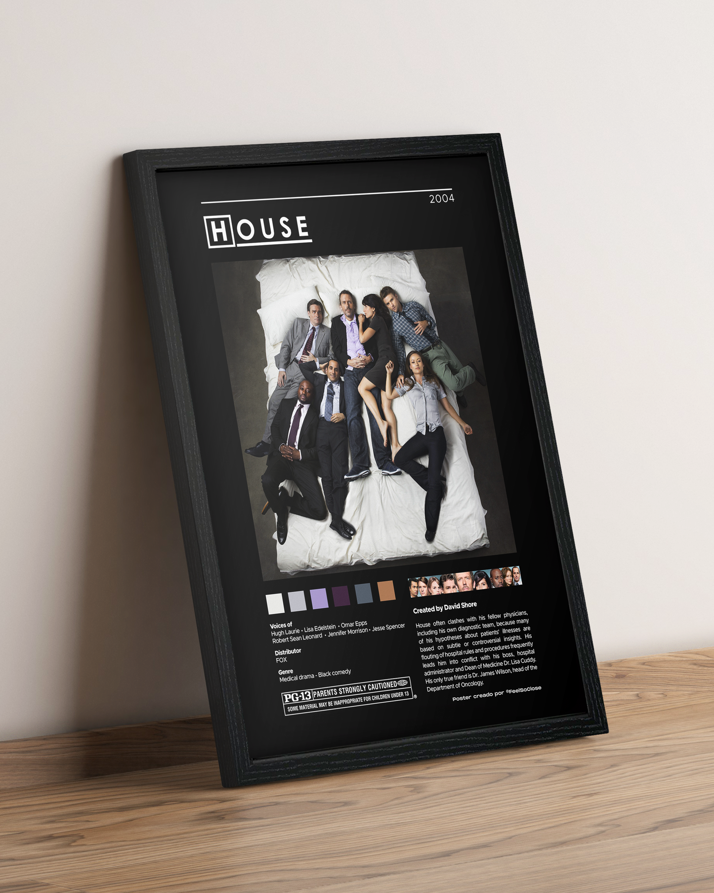Dr House - Cuadro Serie #2
