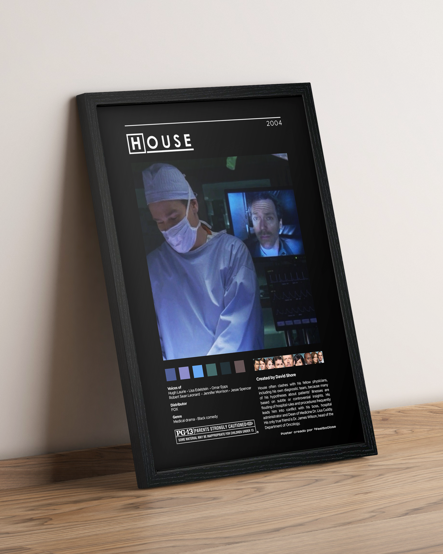 Dr House - Cuadro Serie #3