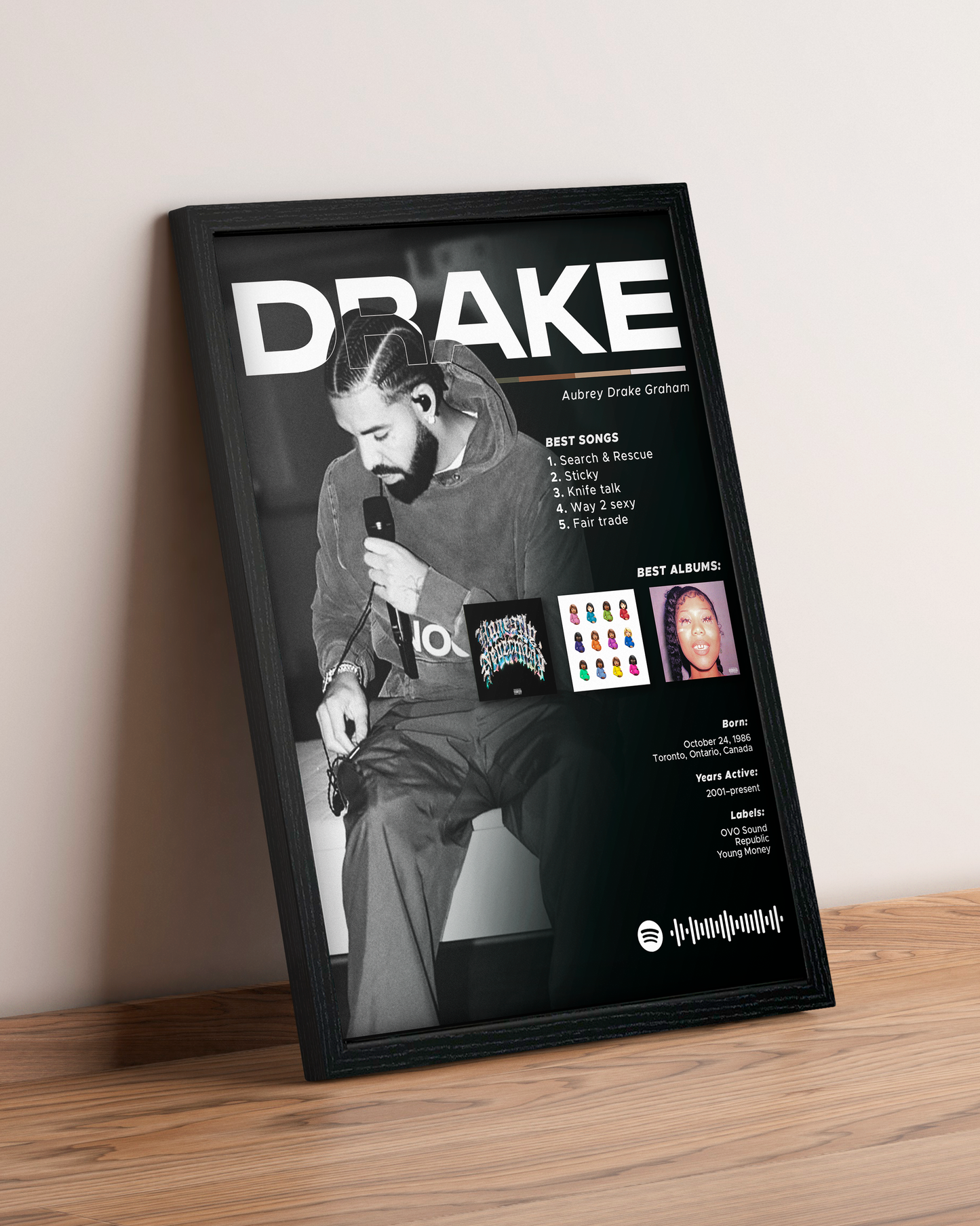 Drake - Cuadro Artista