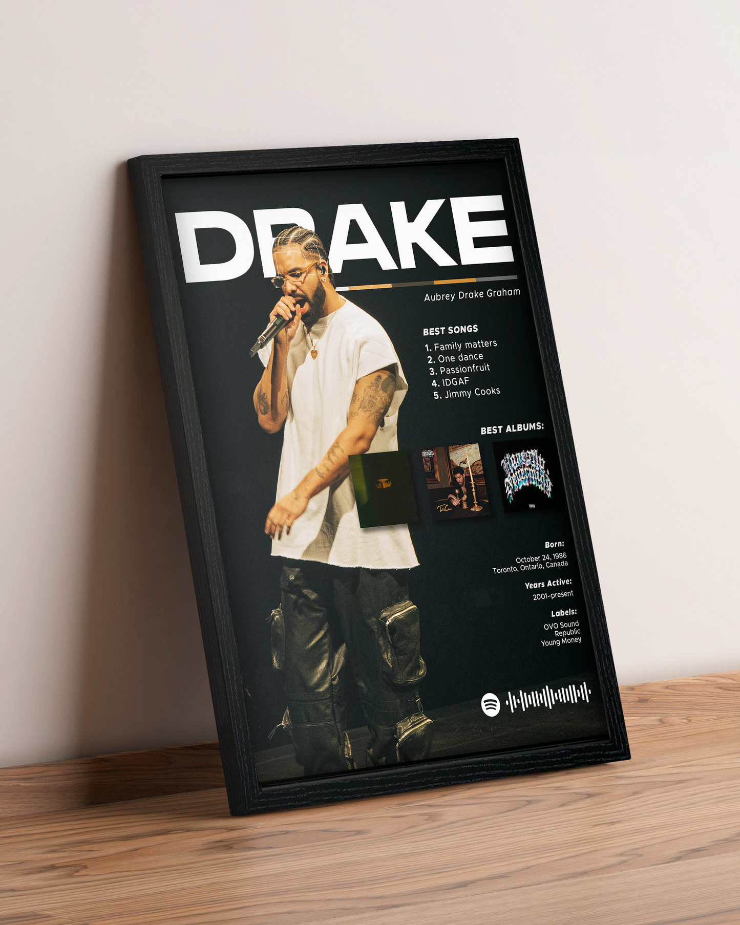 Drake - Cuadro Artista #4
