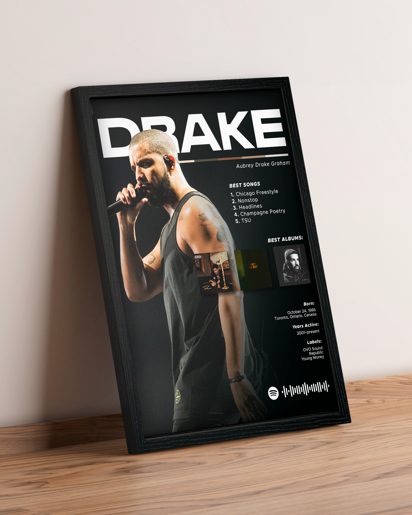 Drake - Cuadro Artista #2