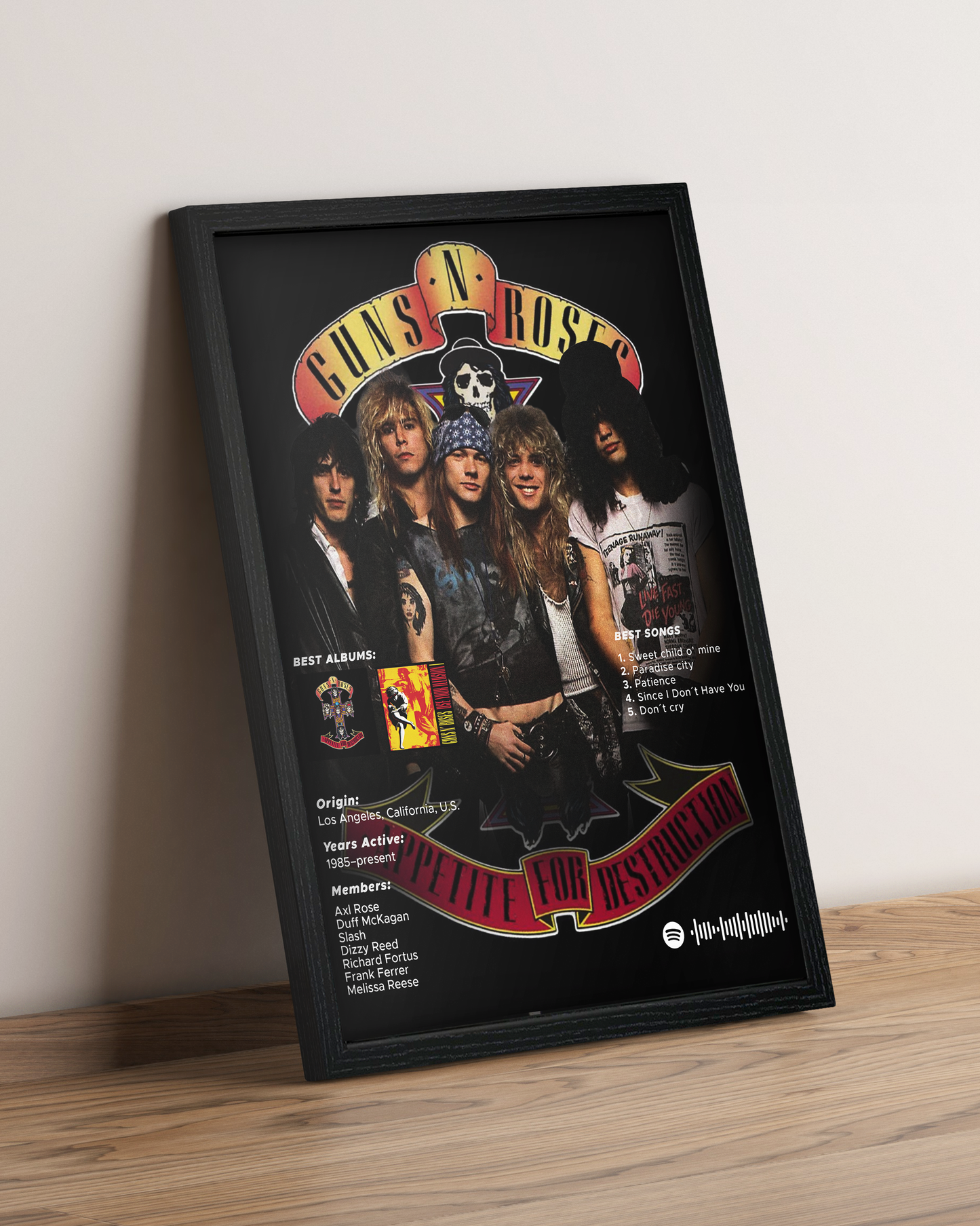 Guns N' Roses - Cuadro Artista