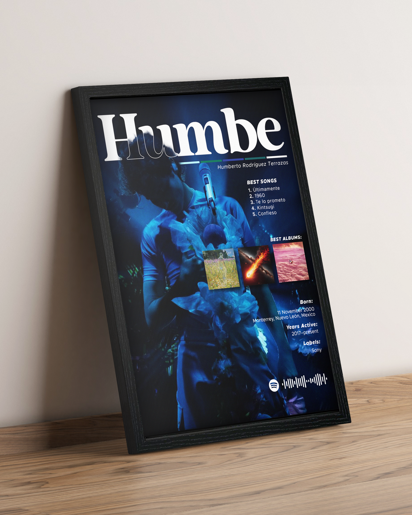 Humbe - Cuadro Artista #2