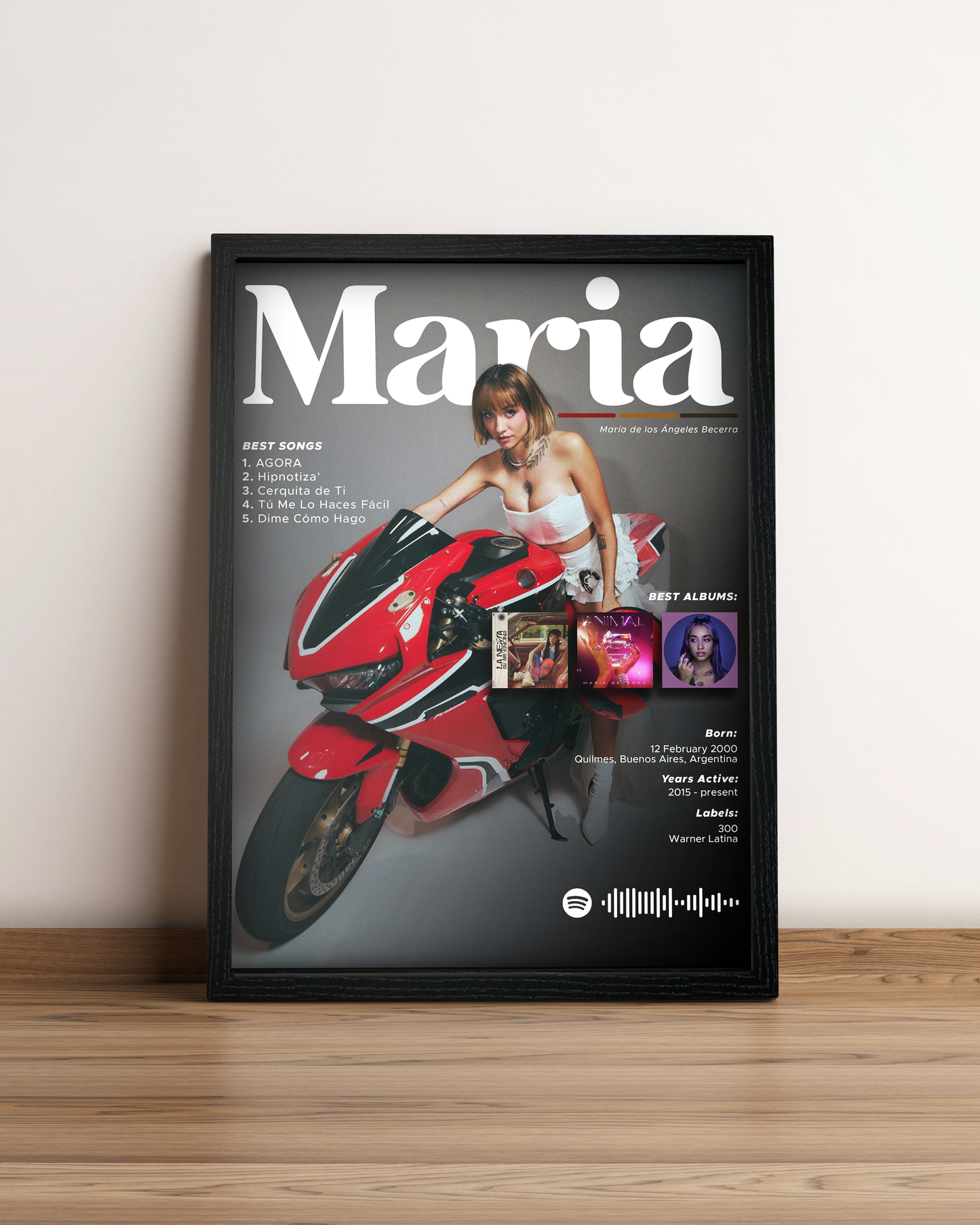 María Becerra - Cuadro Artista