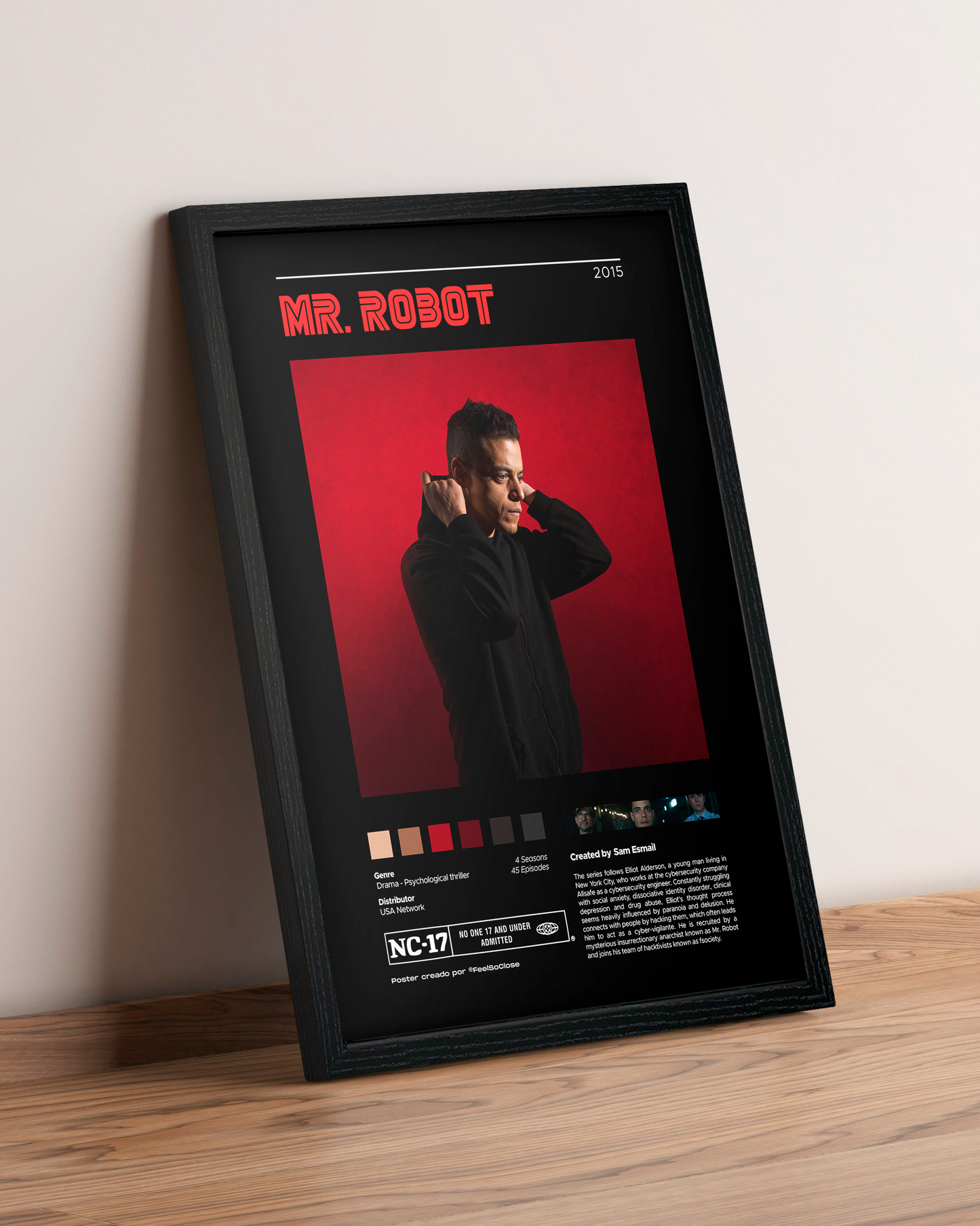 Mr Robot - Cuadro Serie