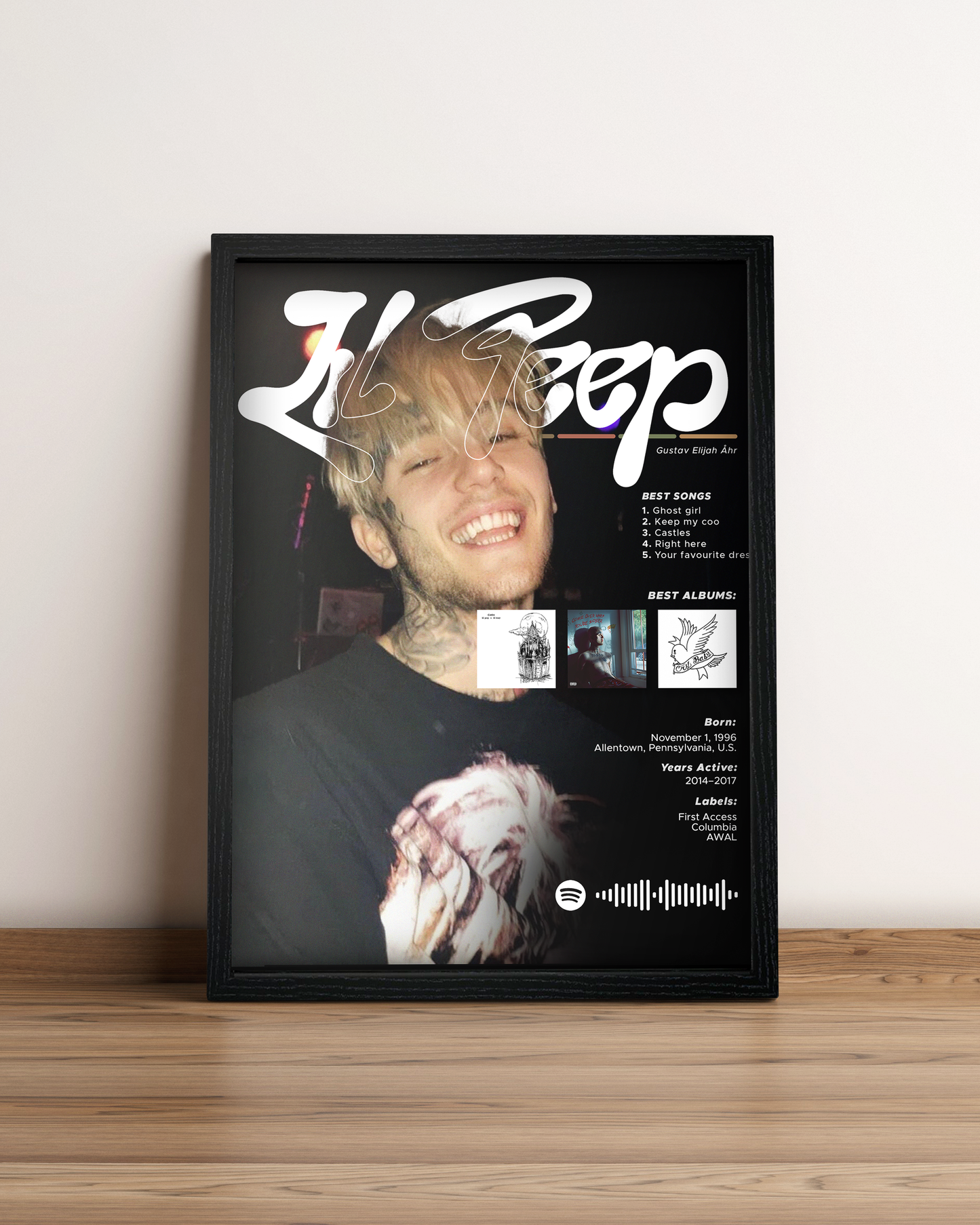 Lil Peep - Cuadro Artista #2
