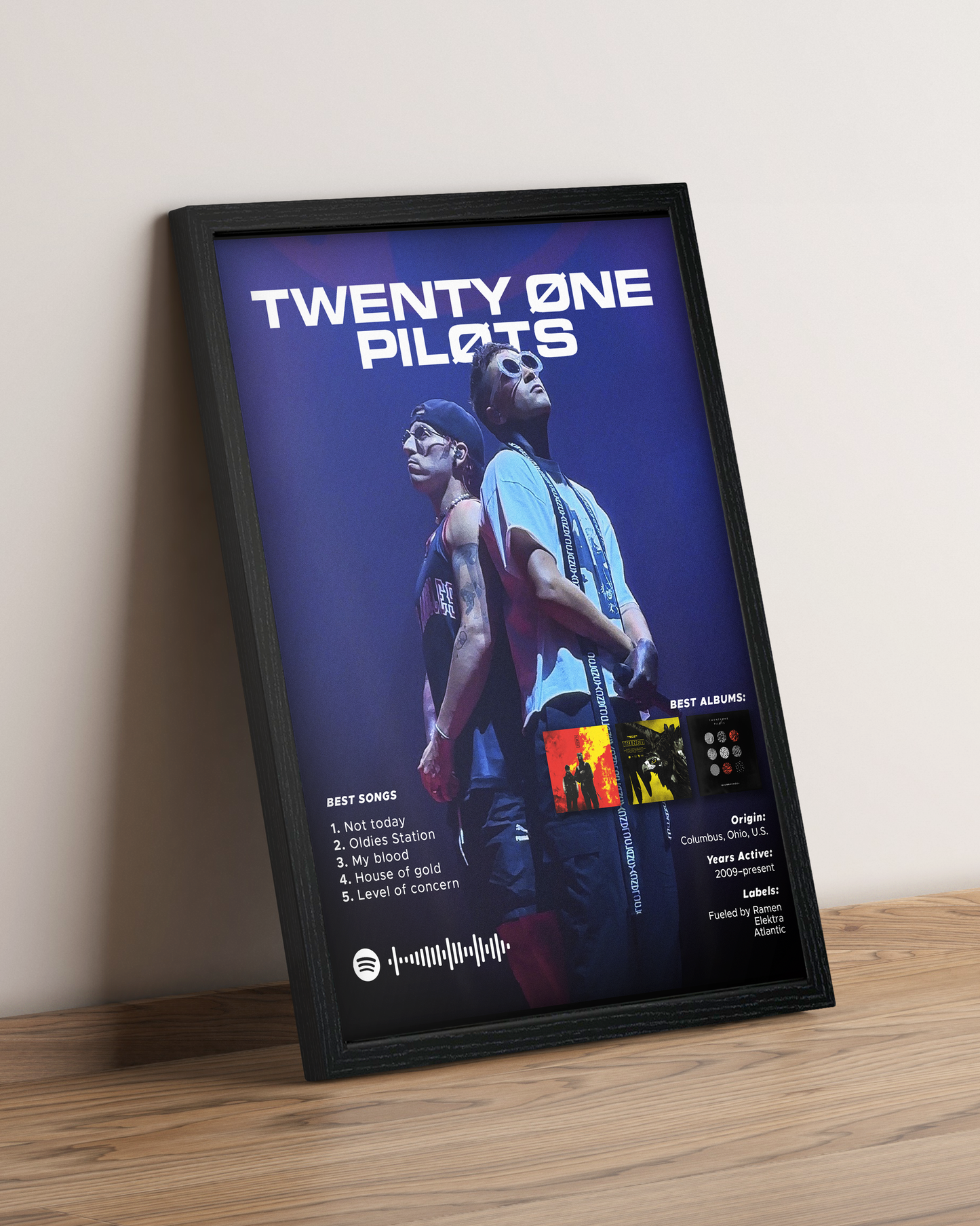 Twenty One Pilots - Cuadro Artista #2