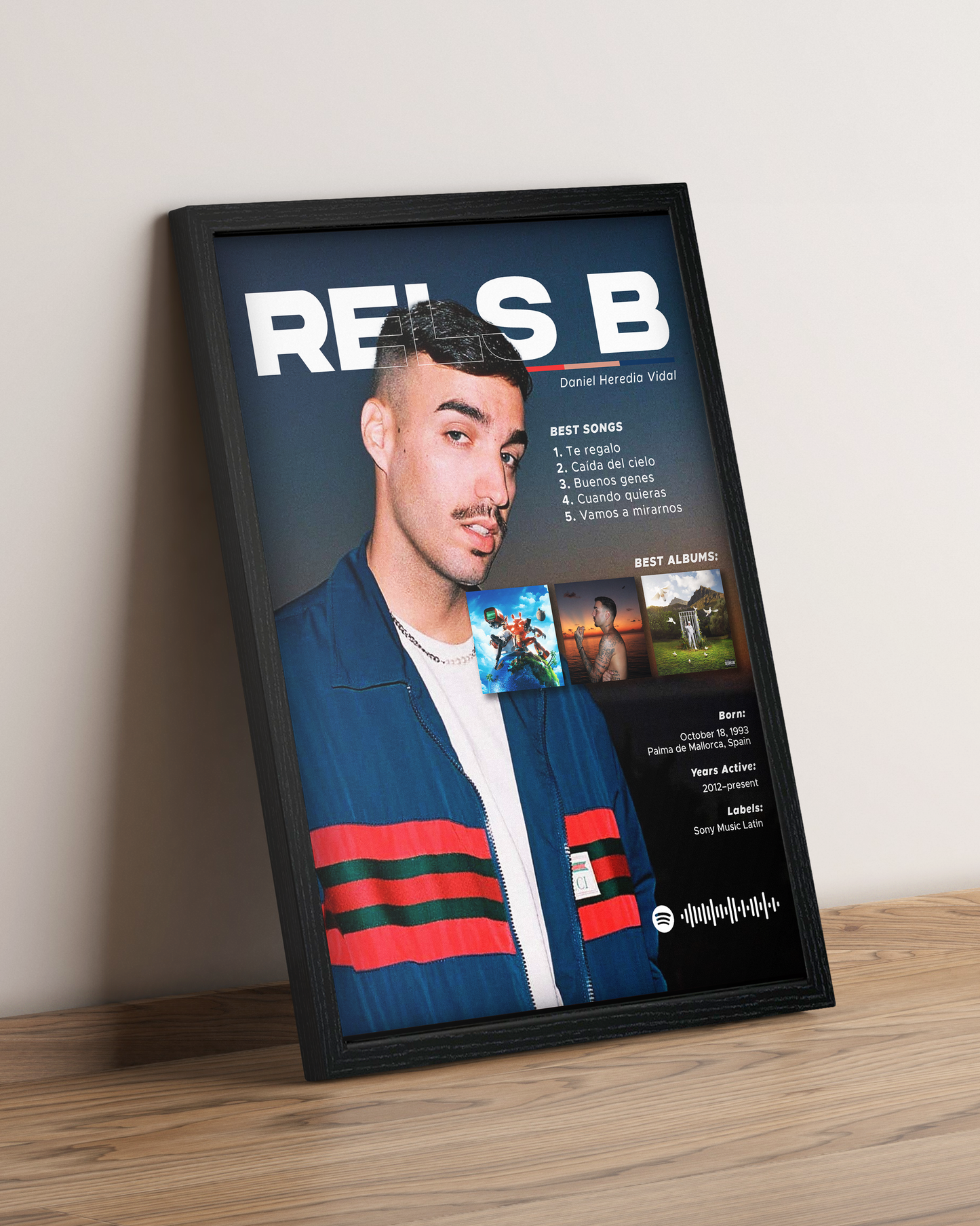 Rels B - Cuadro Artista #3