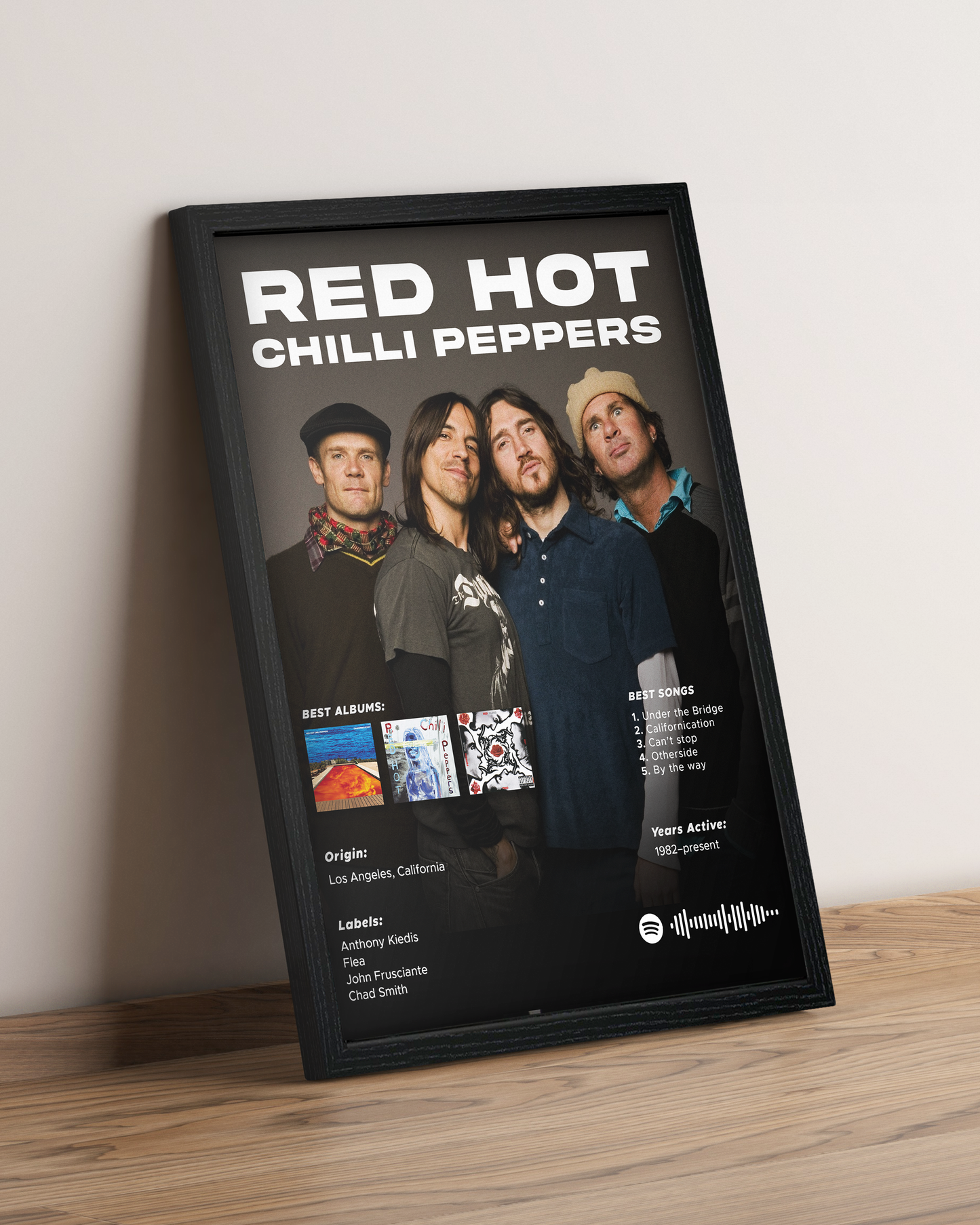 Red Hot Chili Peppers - Cuadro Artista #4