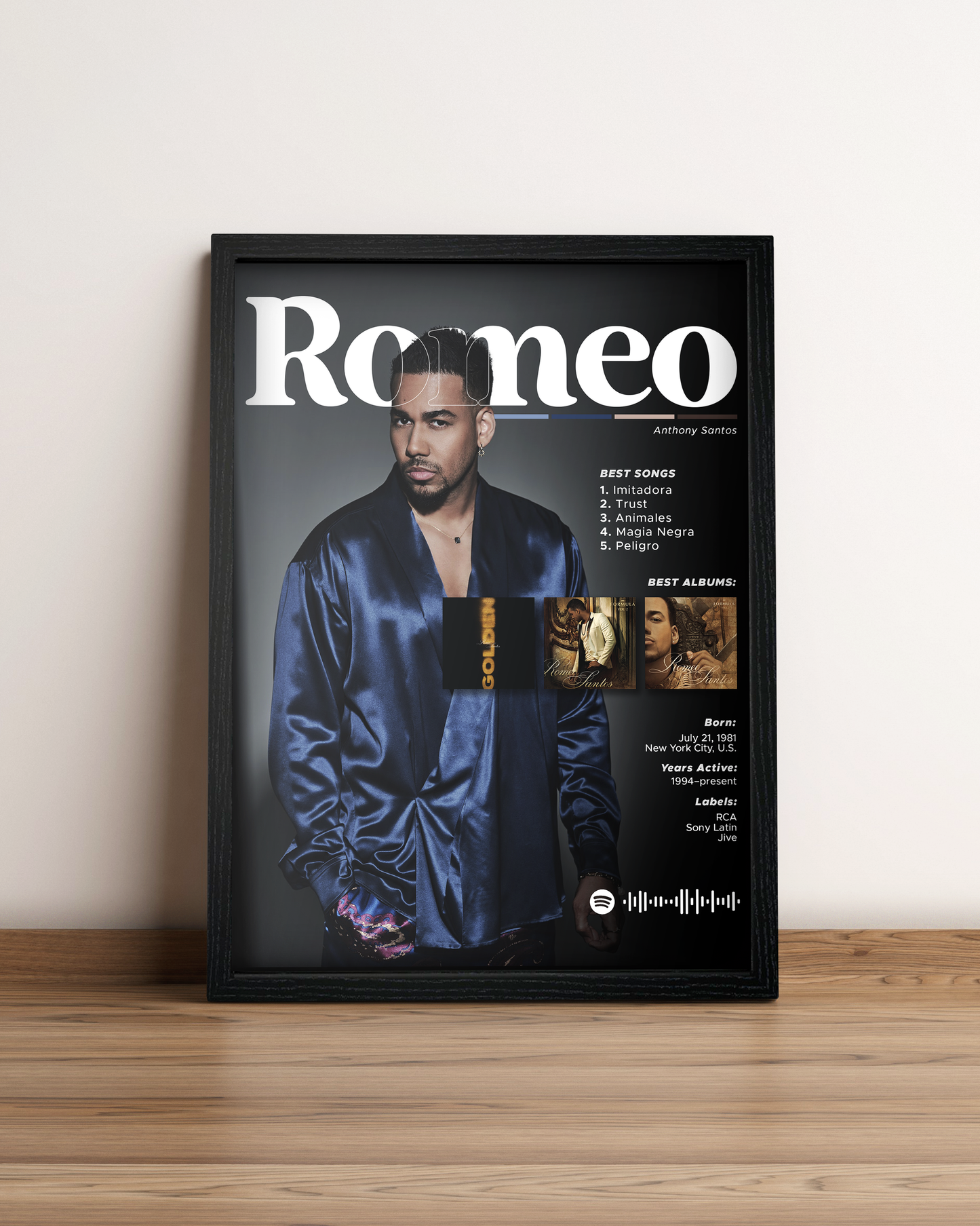 Romeo Santos - Cuadro Artista