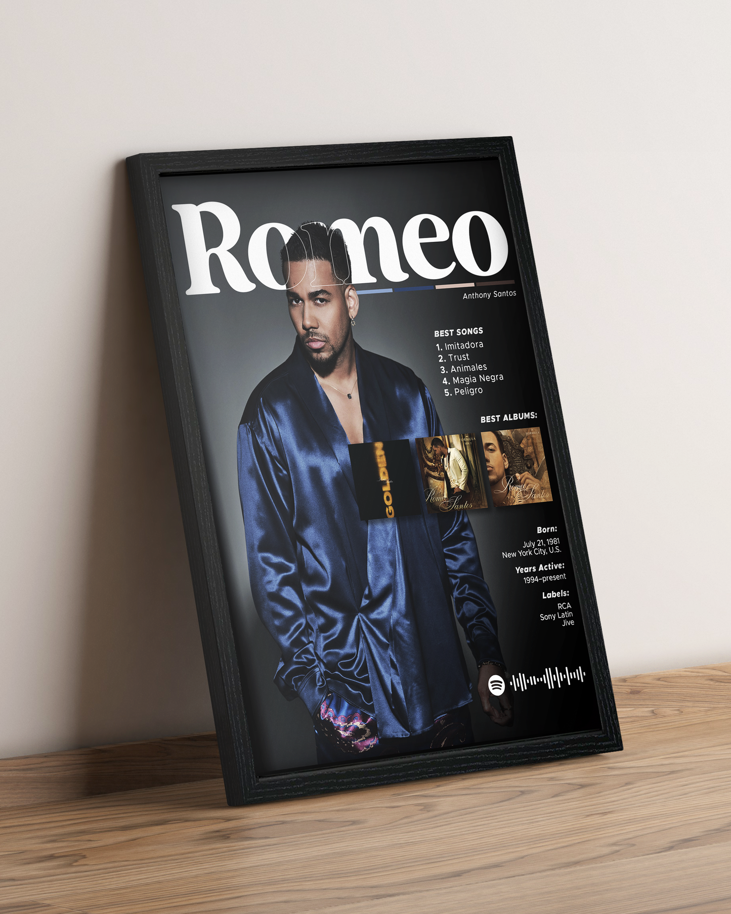 Romeo Santos - Cuadro Artista