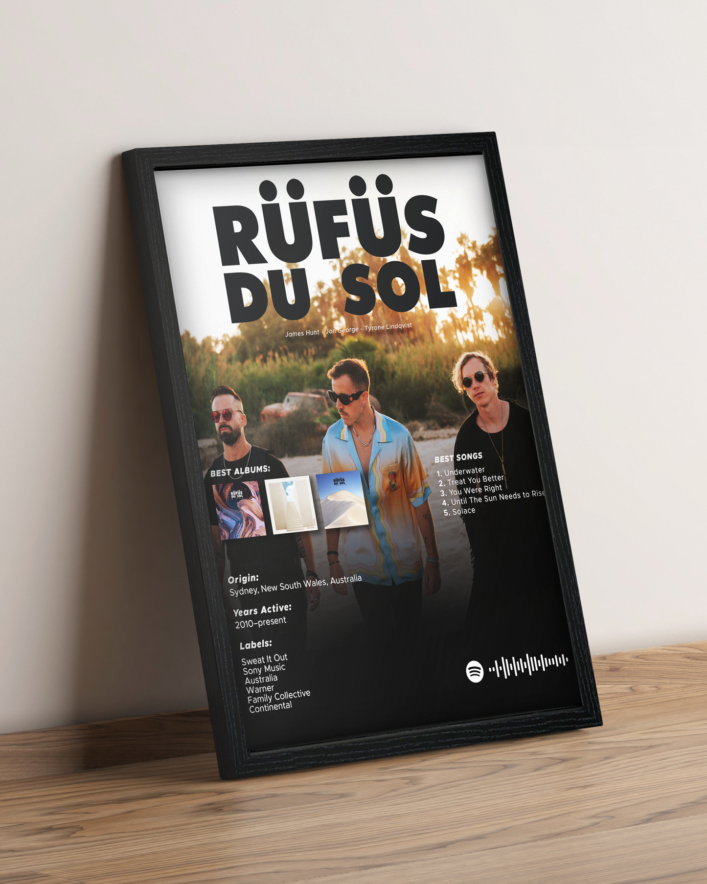 Rufus Du Sol - Cuadro Artista #2
