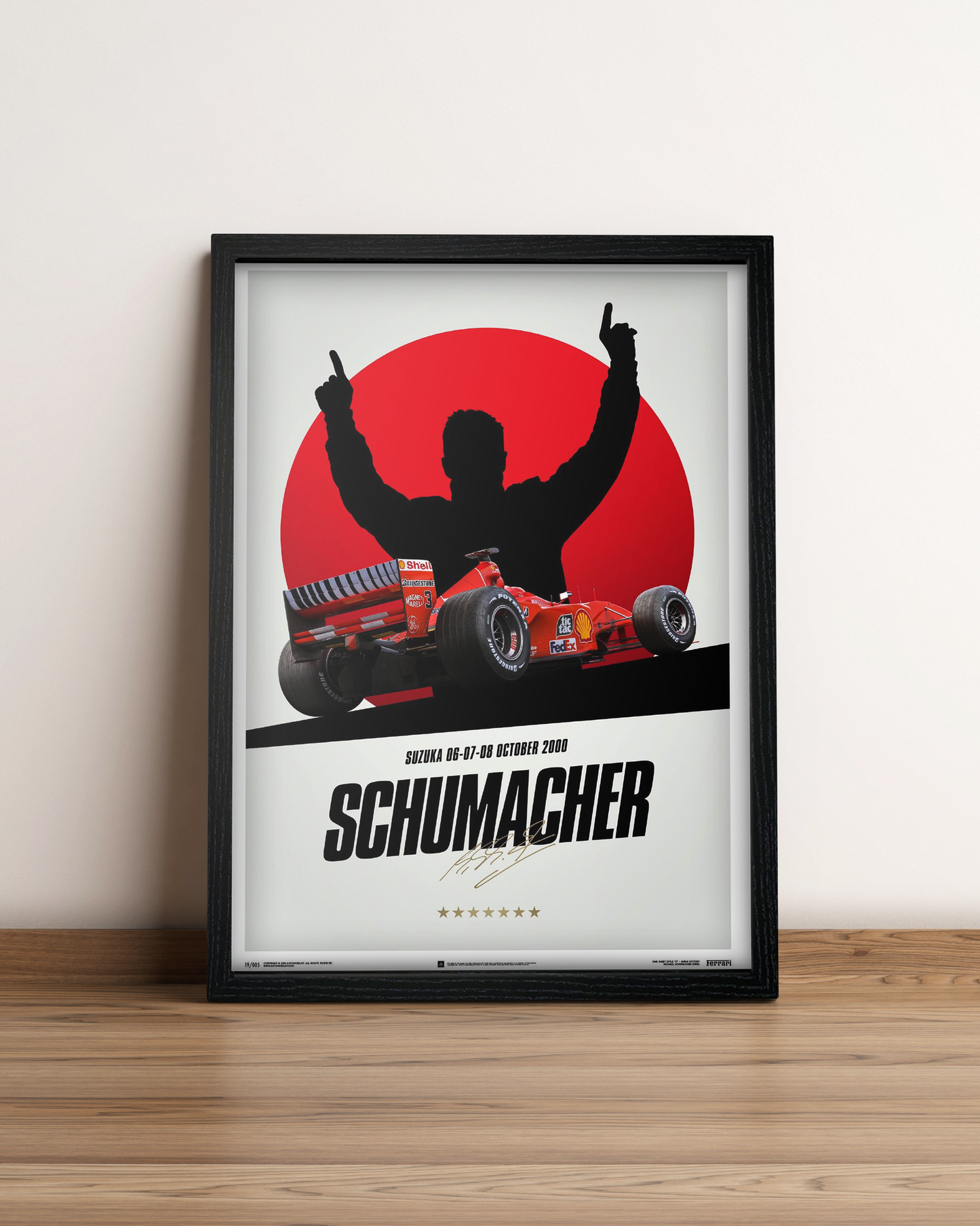 Michael Schumacher - Cuadro Formula 1 #5