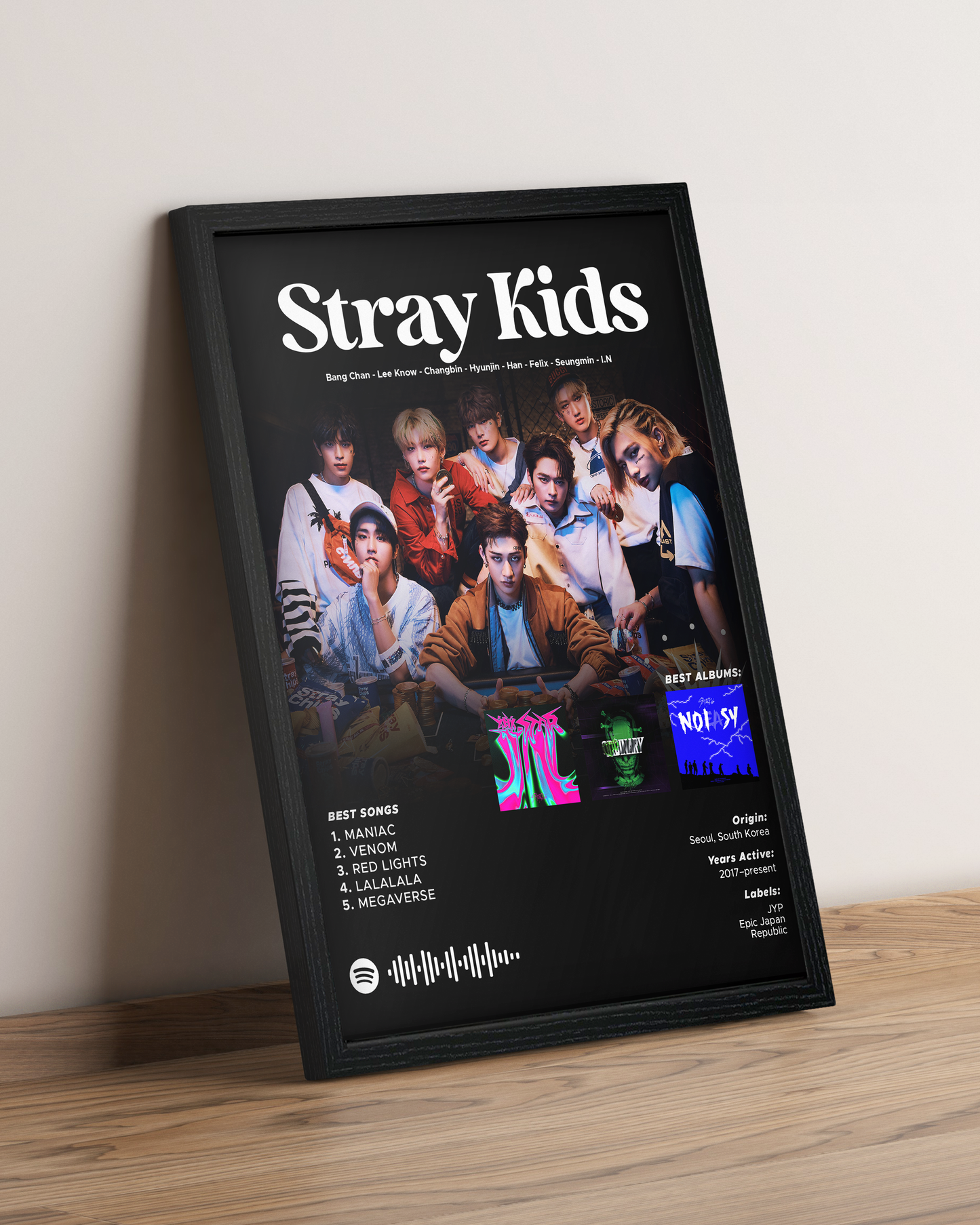 Stray Kids - Cuadro Artista