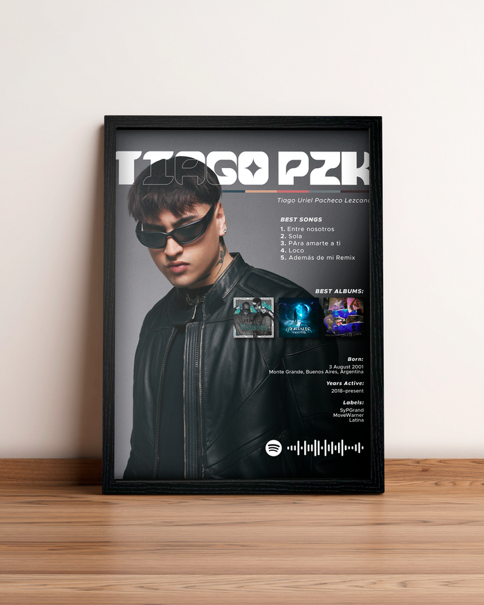 Tiago PZK - Cuadro Artista