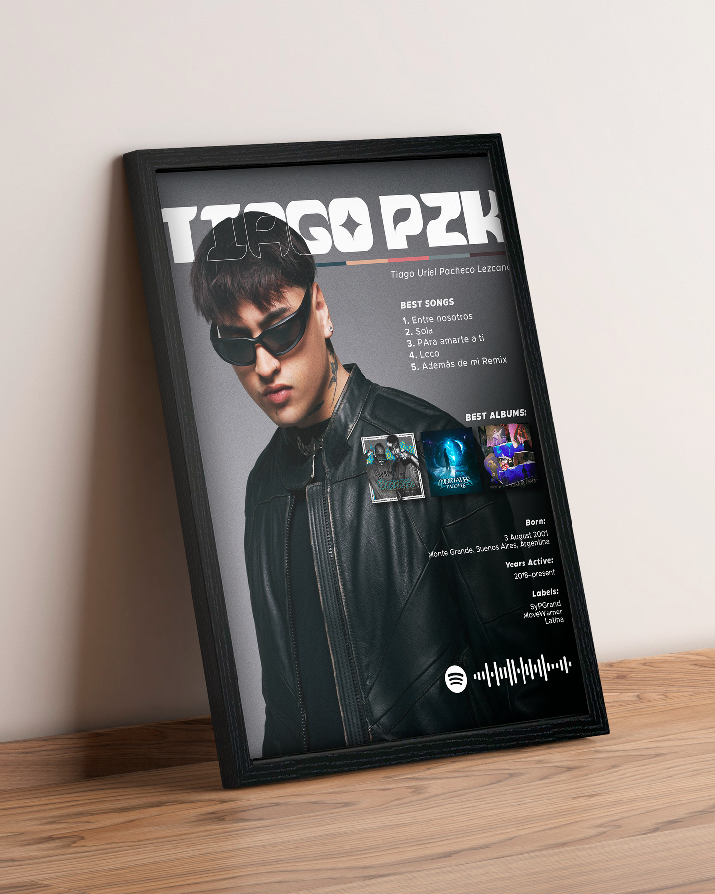 Tiago PZK - Cuadro Artista