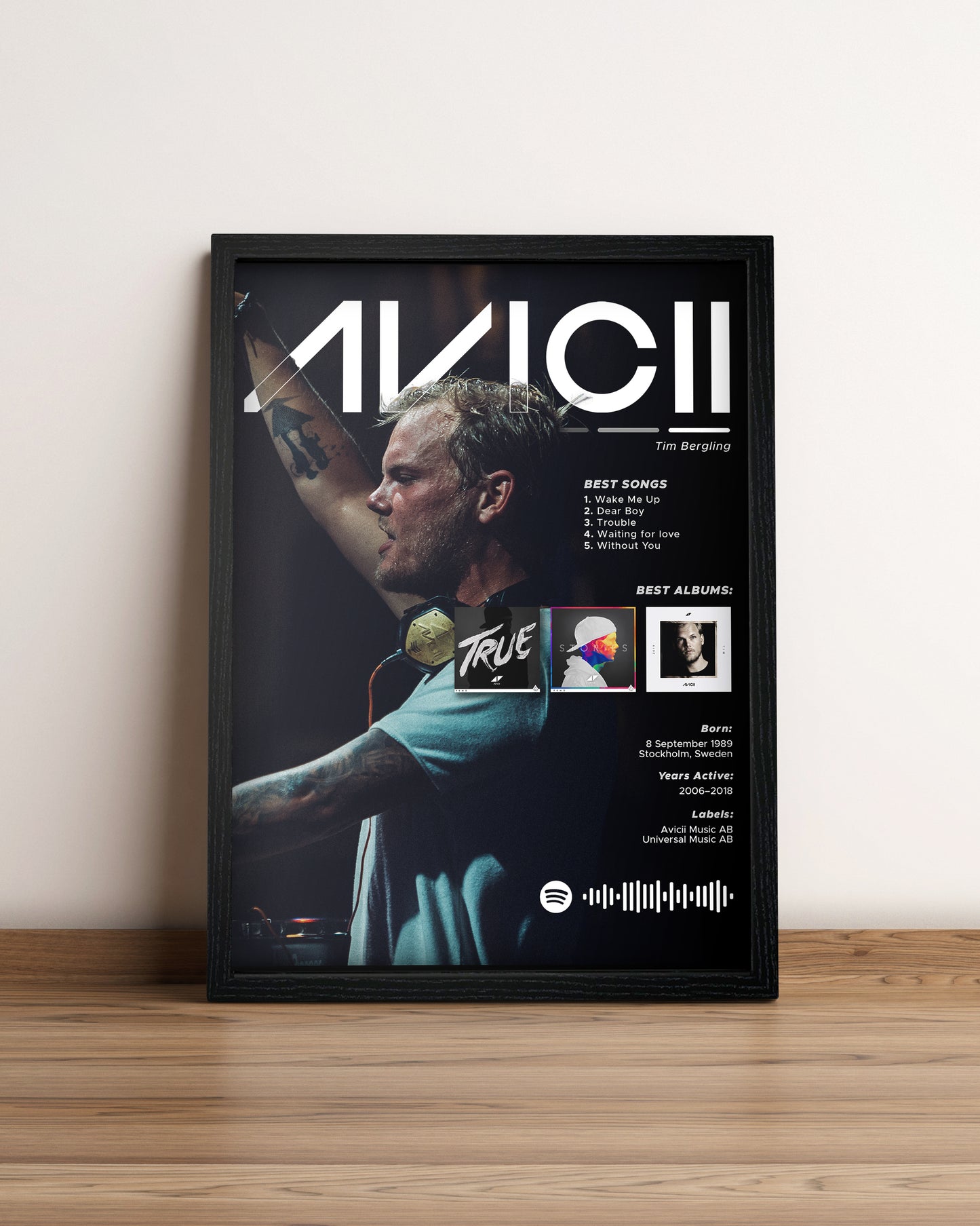 Avicii - Cuadro Artista