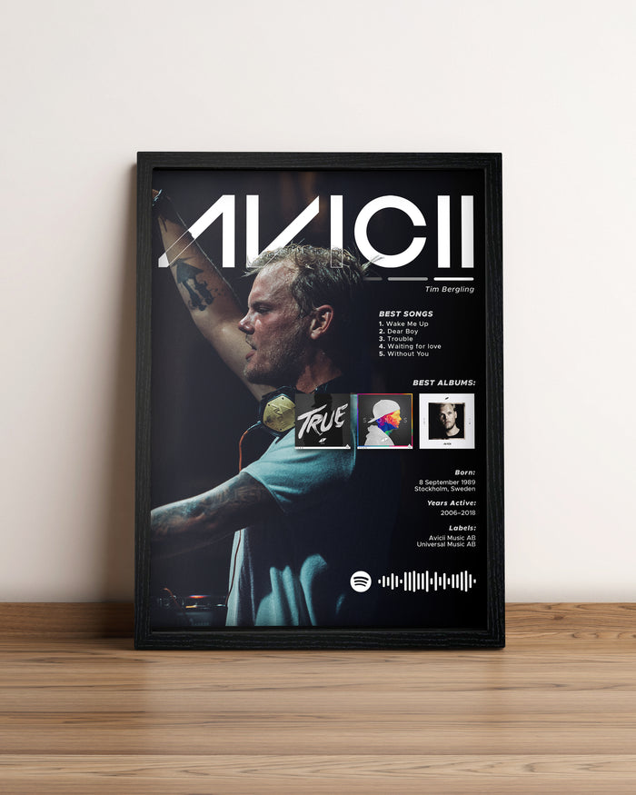 Avicii - Cuadro Artista