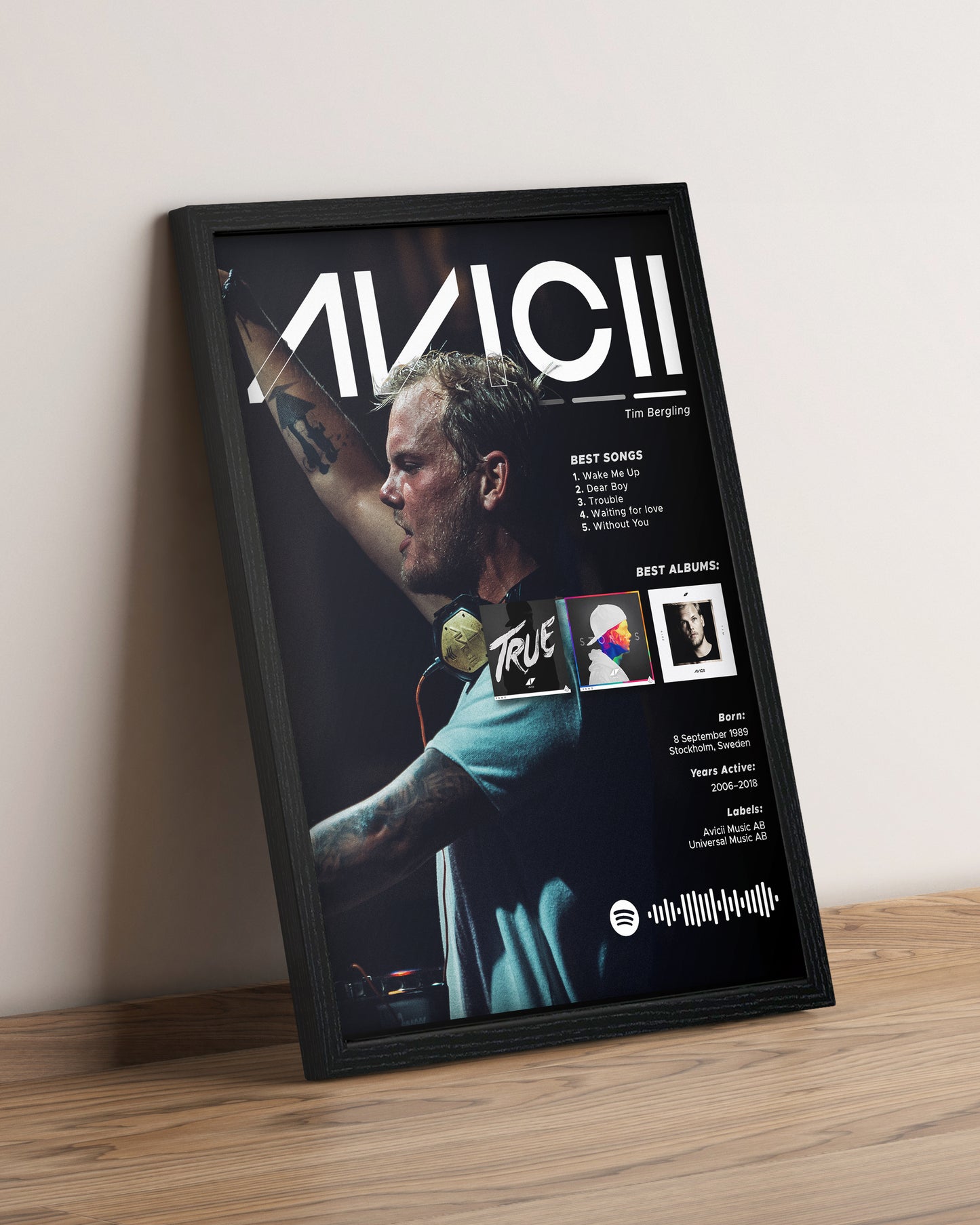 Avicii - Cuadro Artista