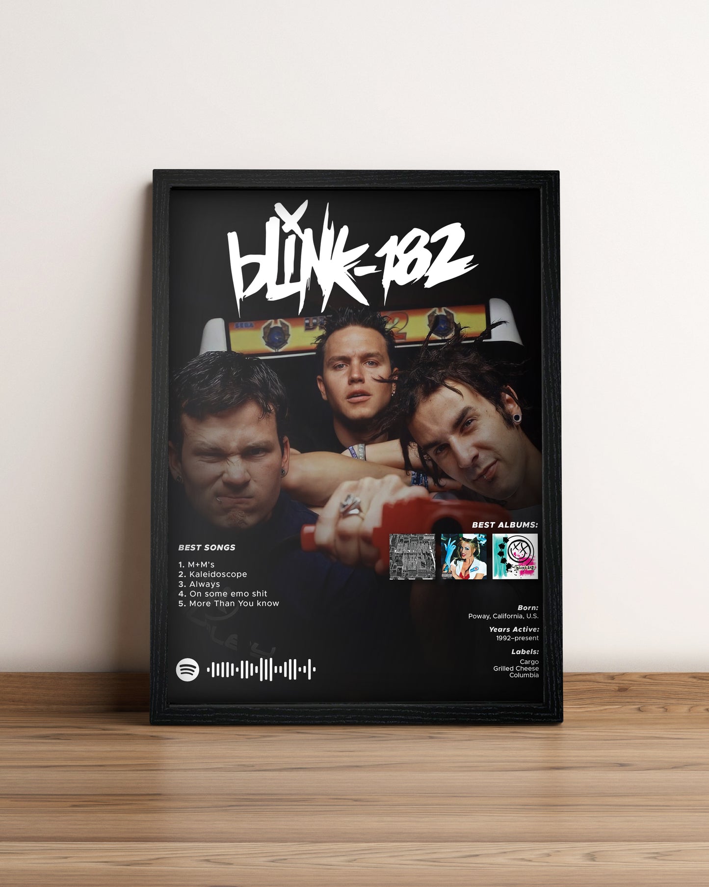 Blink 182 - Cuadro Artista
