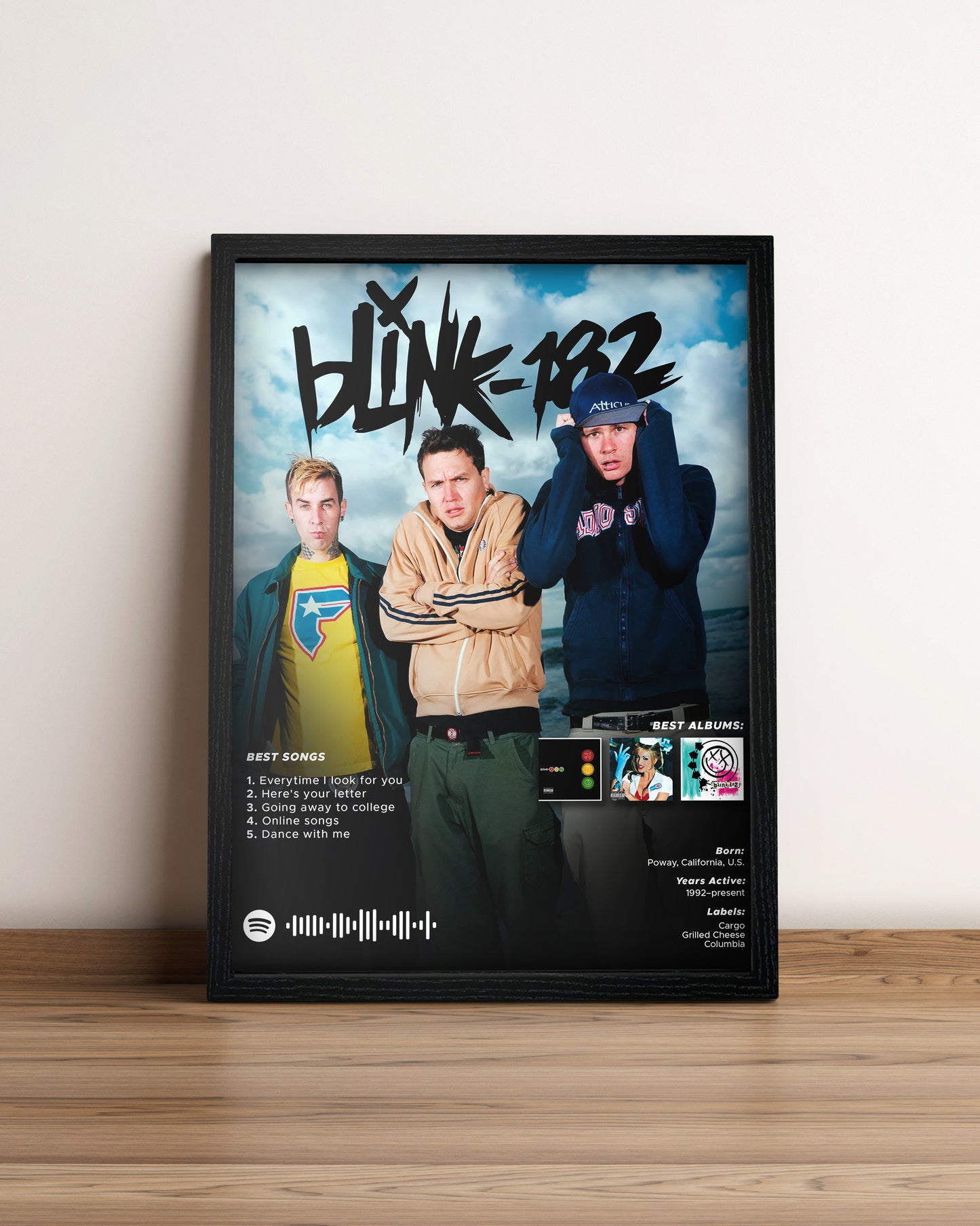 Blink 182 - Cuadro Artista #2