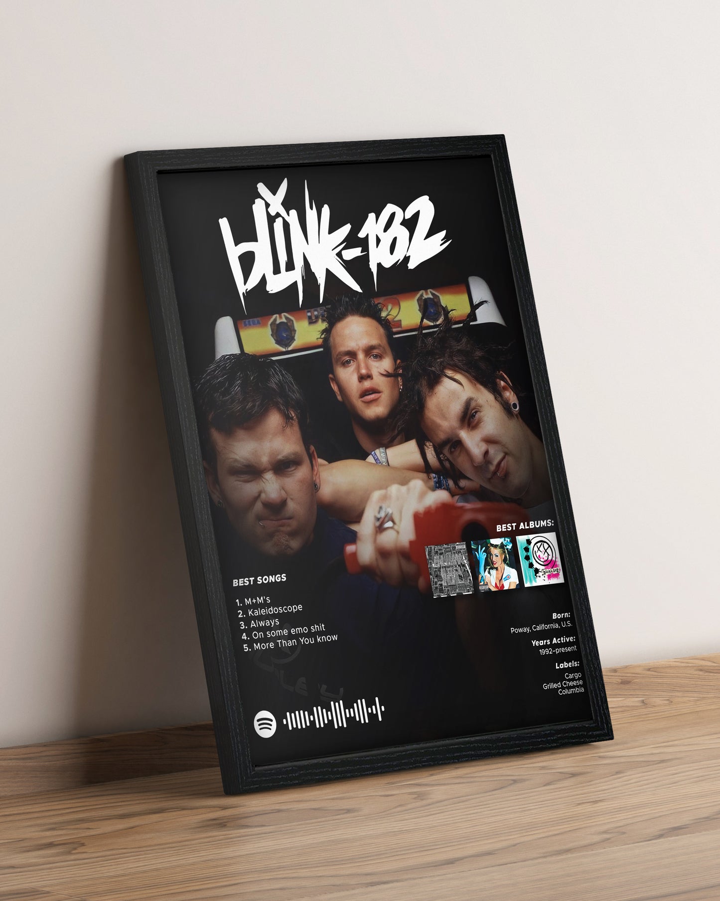 Blink 182 - Cuadro Artista
