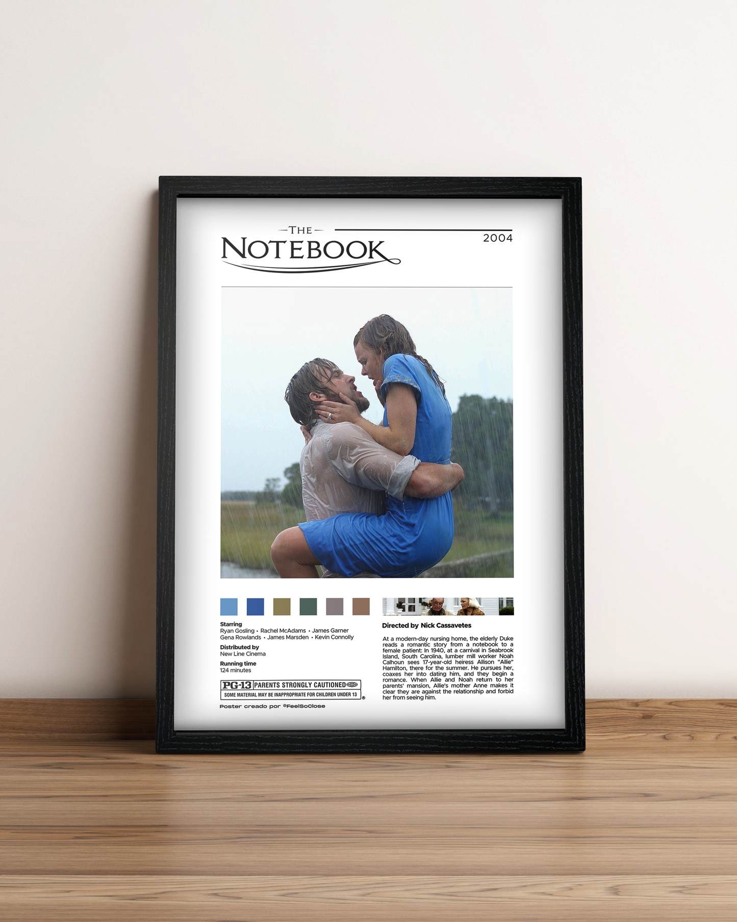 Diario de una pasion - Cuadro Película