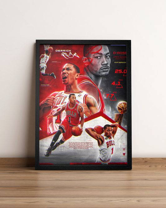 Derrick Rose - Cuadro Deportista #3
