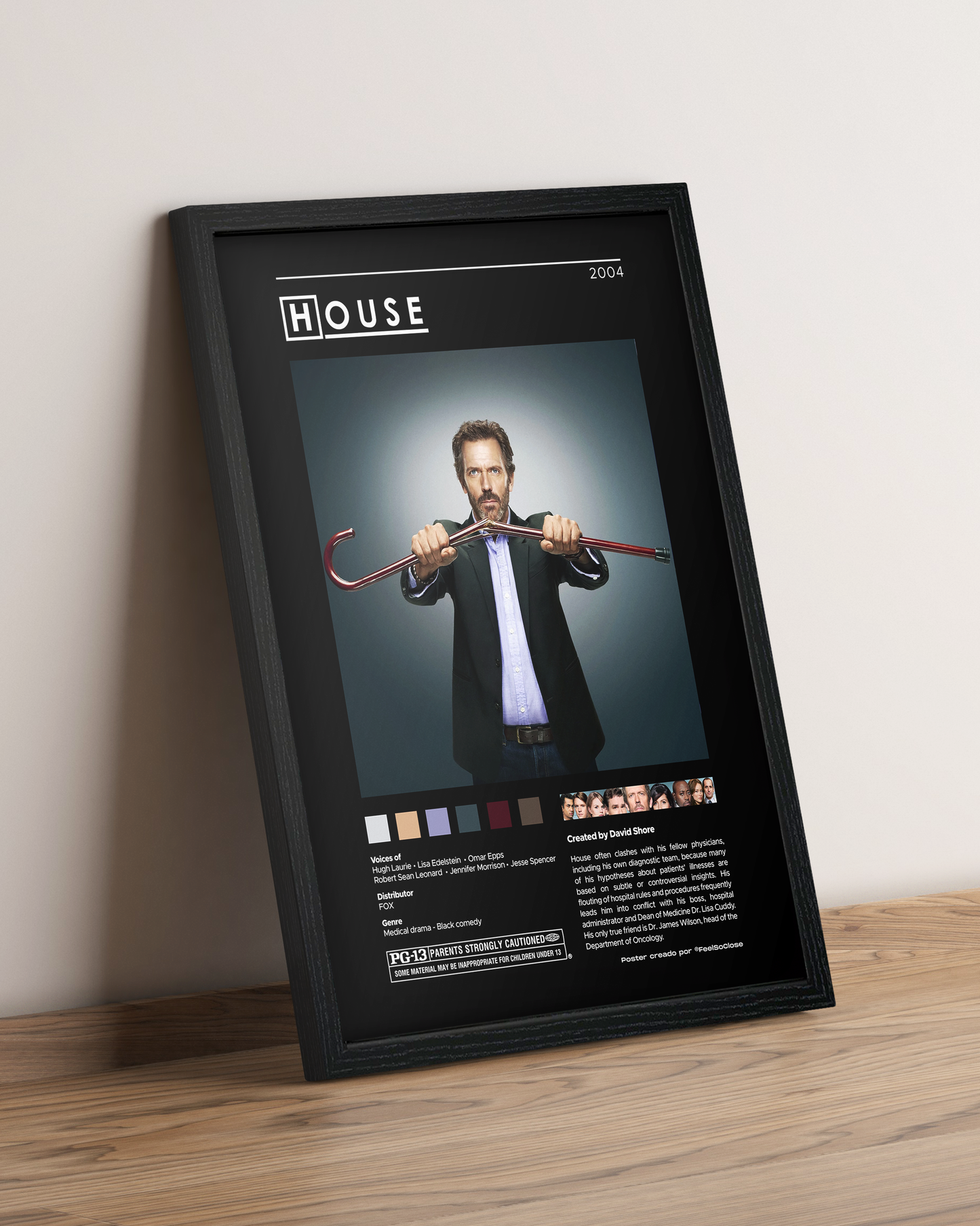 Dr House - Cuadro Serie