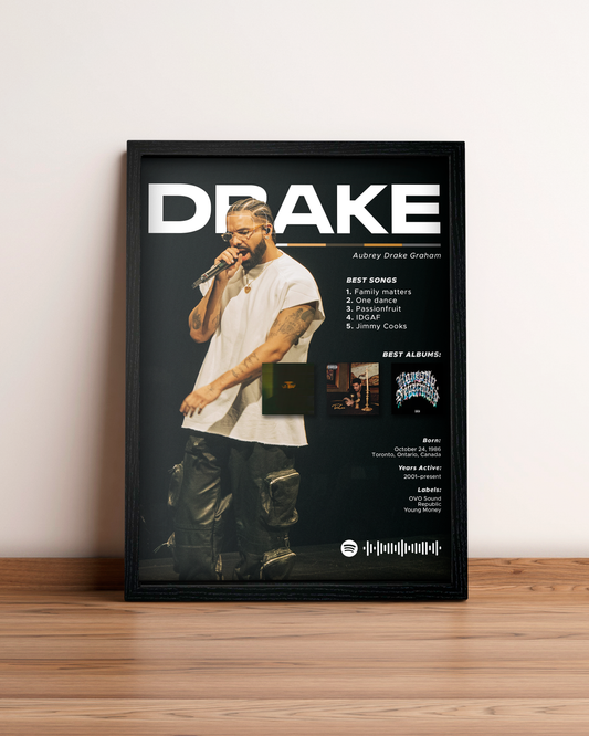 Drake - Cuadro Artista #4