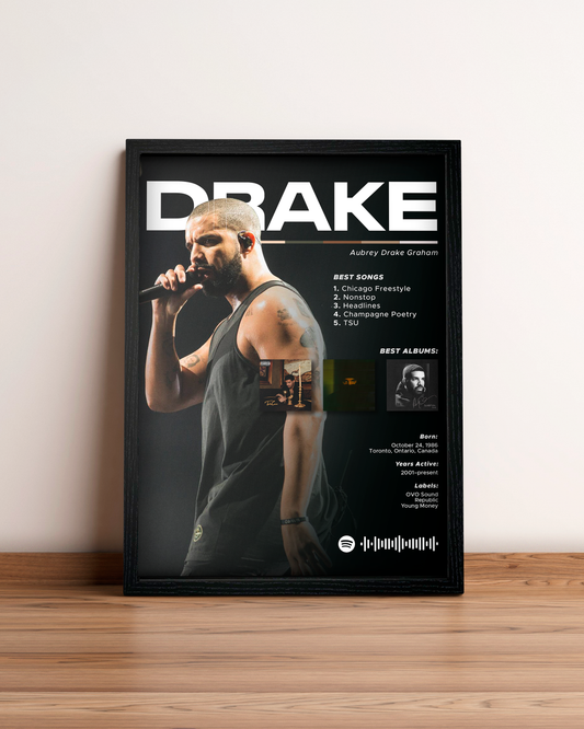 Drake - Cuadro Artista #2