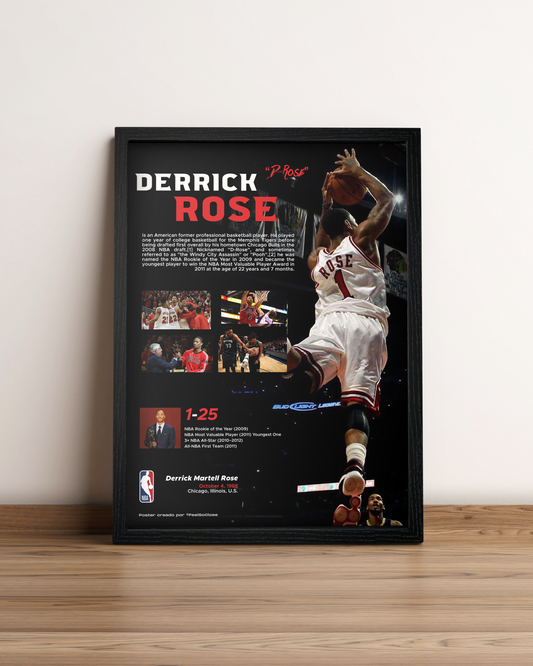 Derrick Rose - Cuadro Deportista