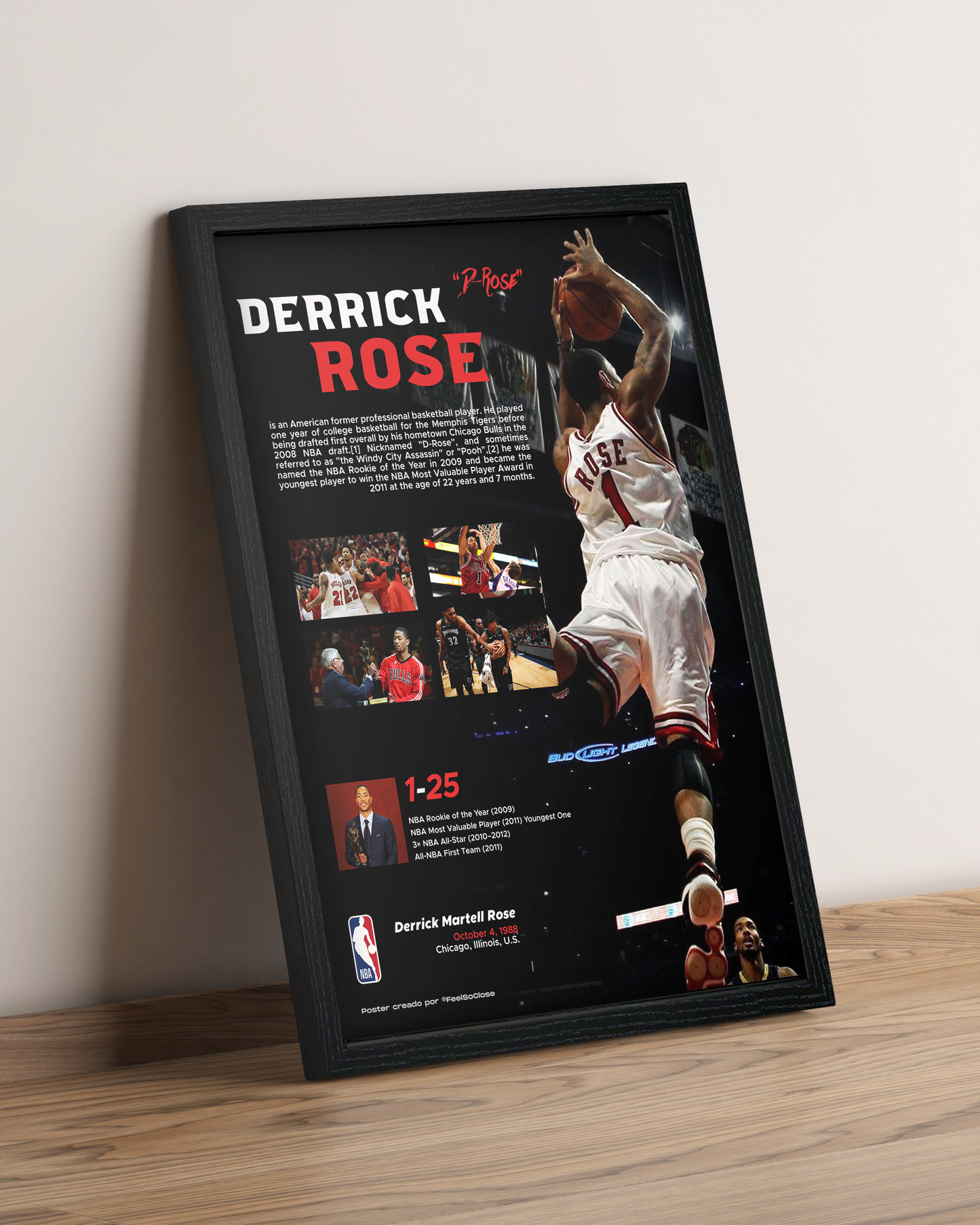 Derrick Rose - Cuadro Deportista