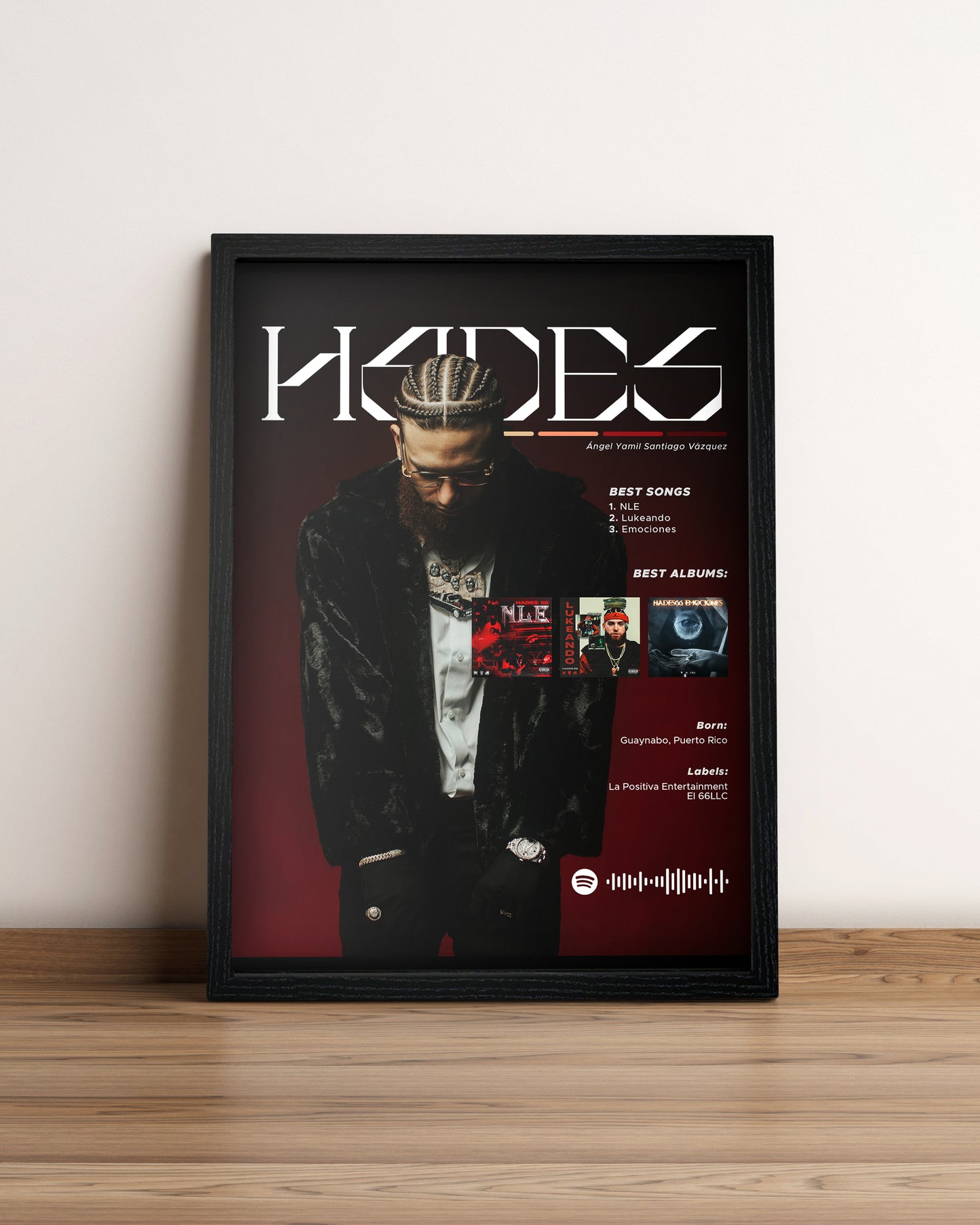 Hades66 - Cuadro Artista #2