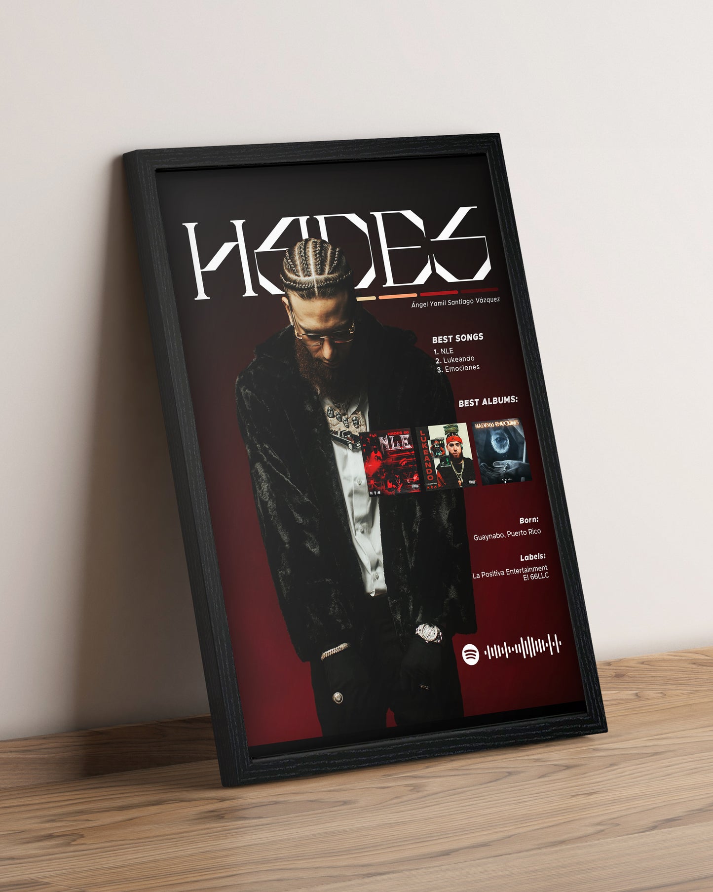 Hades66 - Cuadro Artista #2