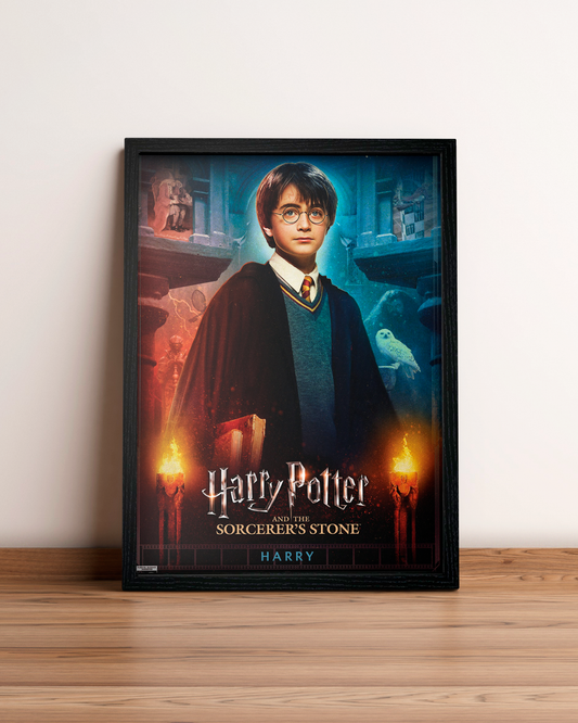 Harry Potter - Cuadro Película