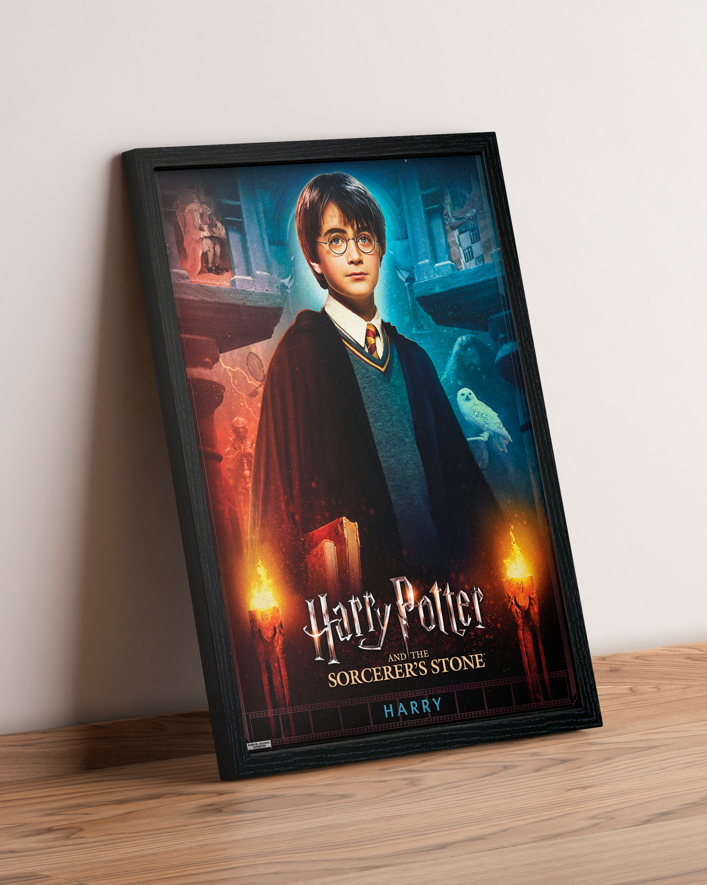 Harry Potter - Cuadro Película