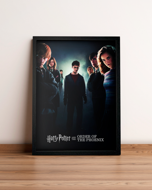 Harry Potter y la orden del Fénix - Cuadro Película