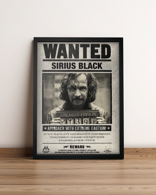 Harry Potter - Cuadro Película #3