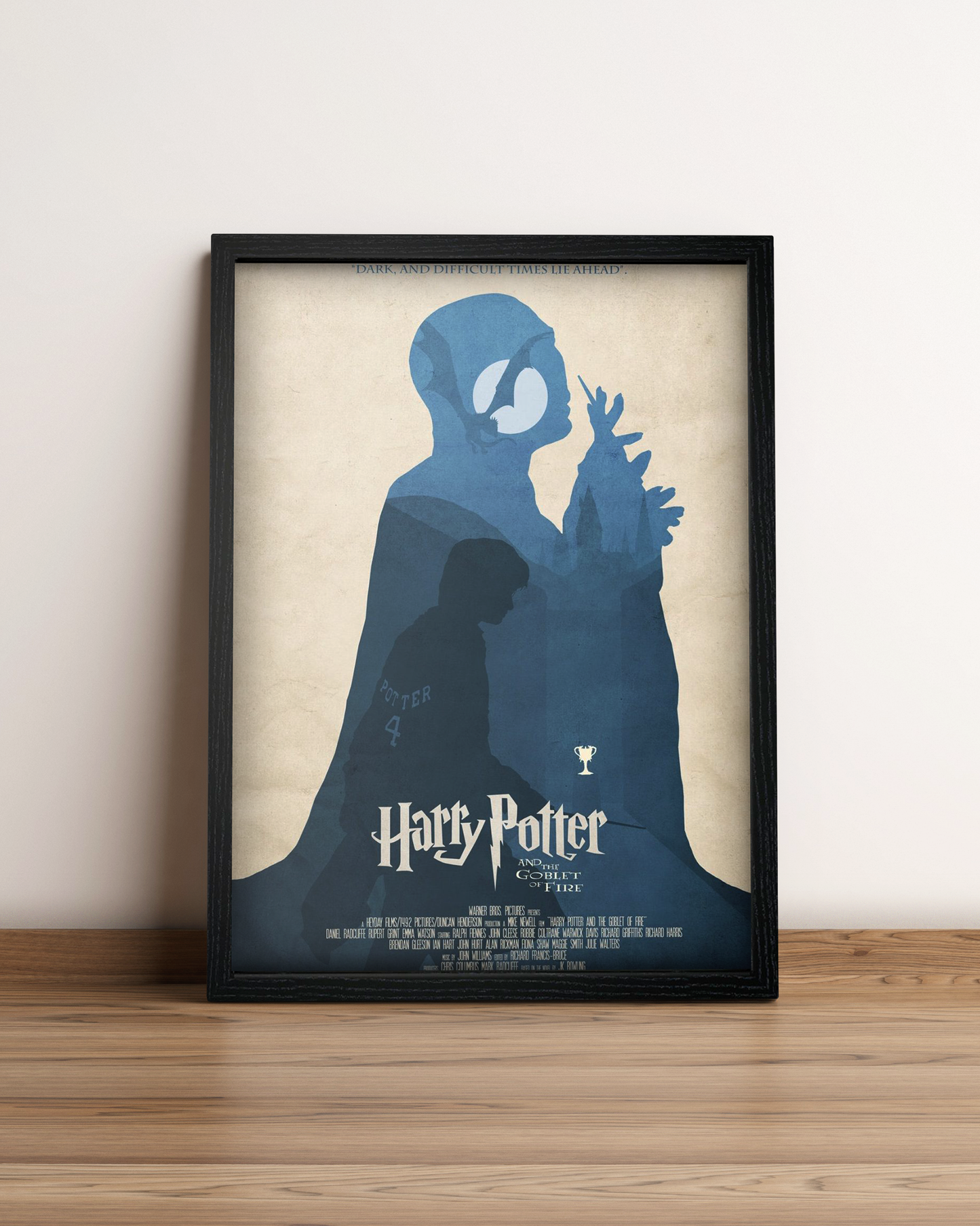 Harry Potter - Cuadro Película #6