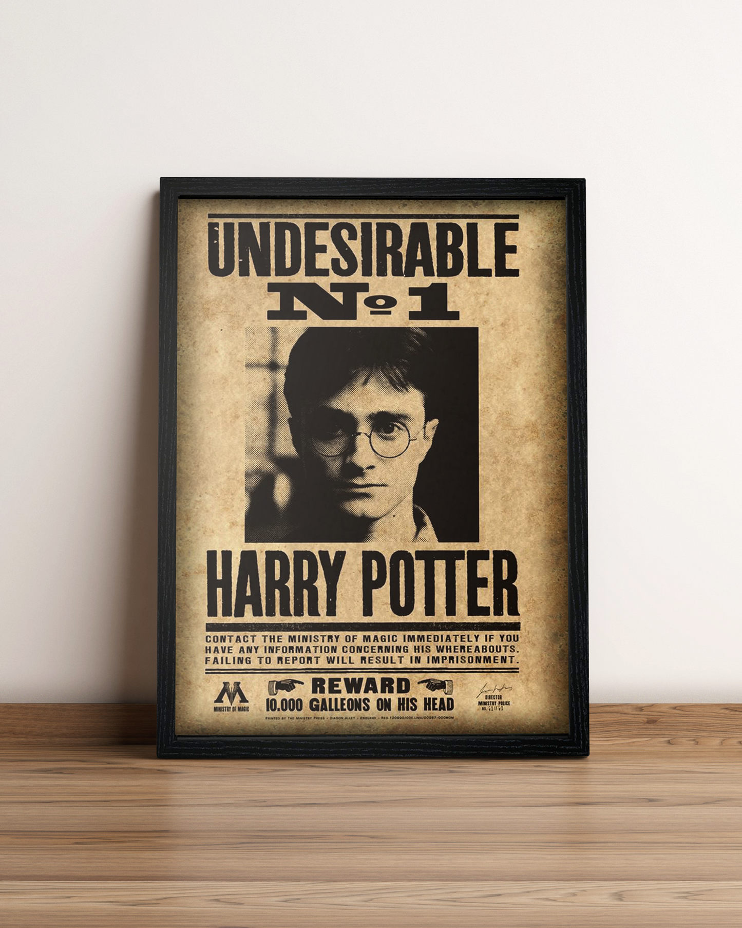 Harry Potter - Cuadro Película #5