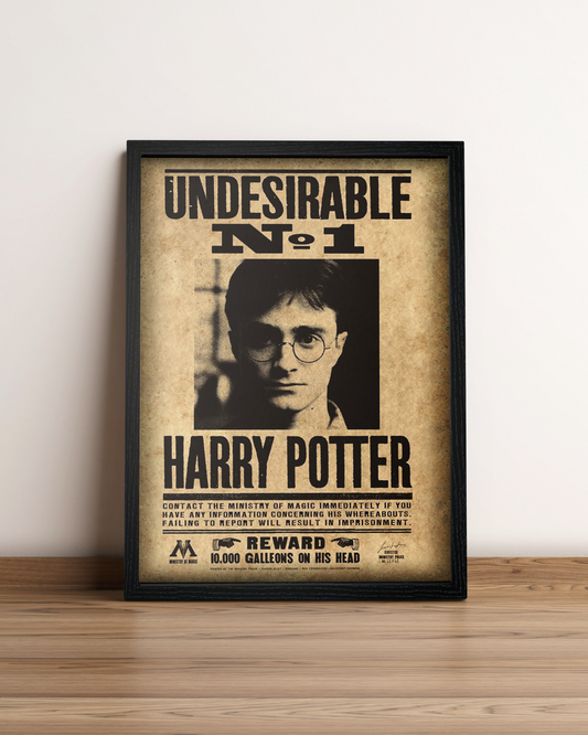 Harry Potter - Cuadro Película #5