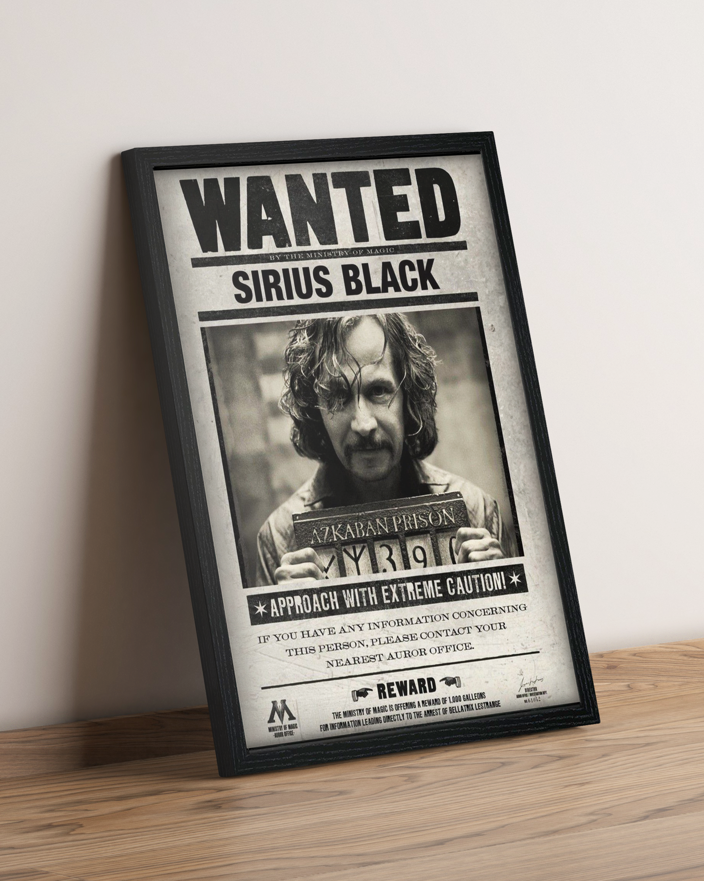 Harry Potter - Cuadro Película #3