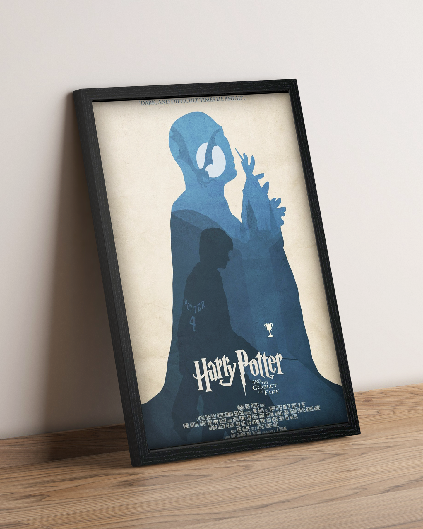 Harry Potter - Cuadro Película #6