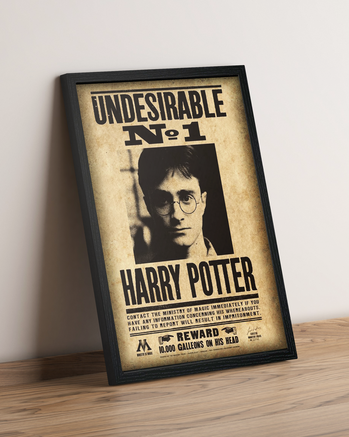 Harry Potter - Cuadro Película #5