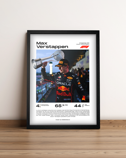 Max Verstappen - Cuadro Formula 1 #3