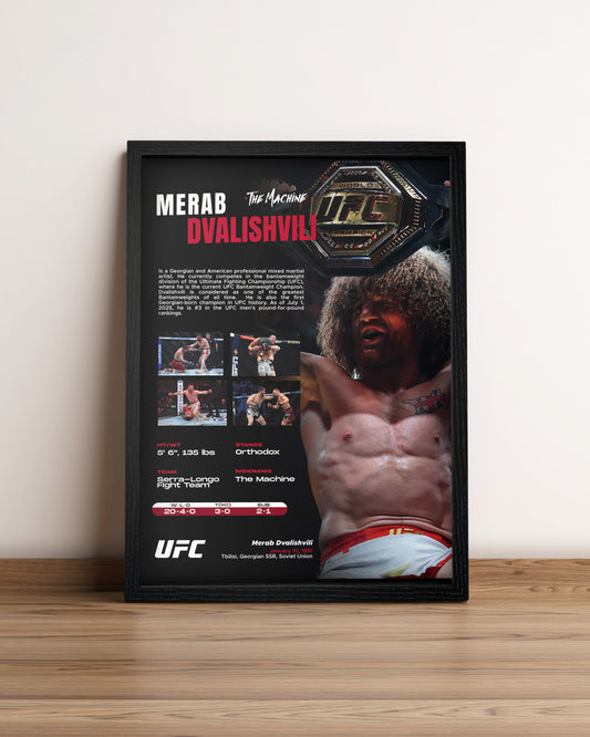 Merab - Cuadro Deportista #2